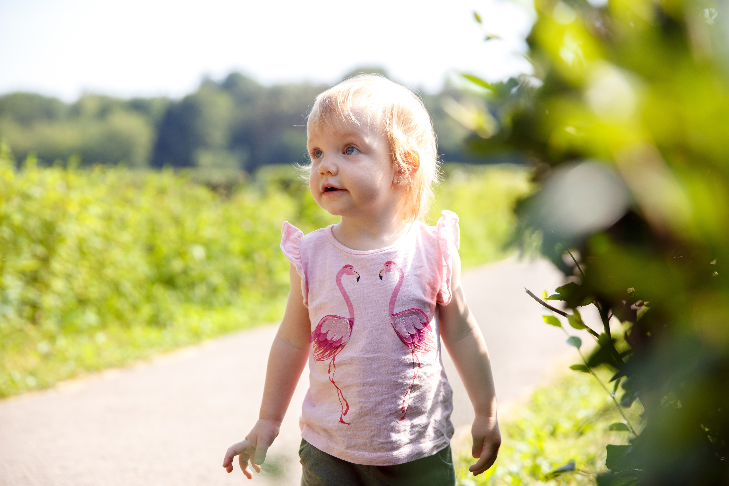 Семейная прогулка. Фотограф в Москве Валентина Чемерилова