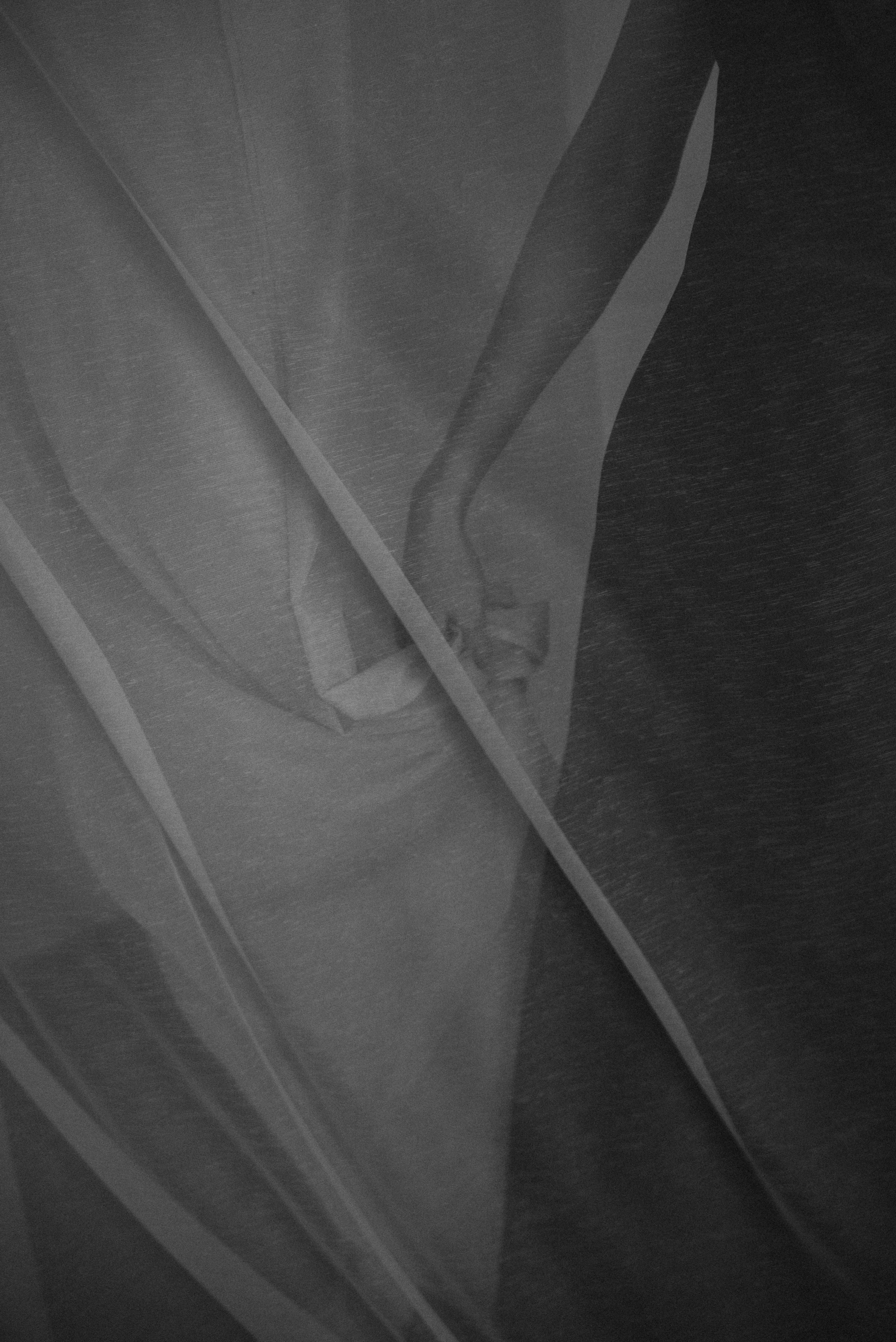 *. Фотограф Данил Бушуев