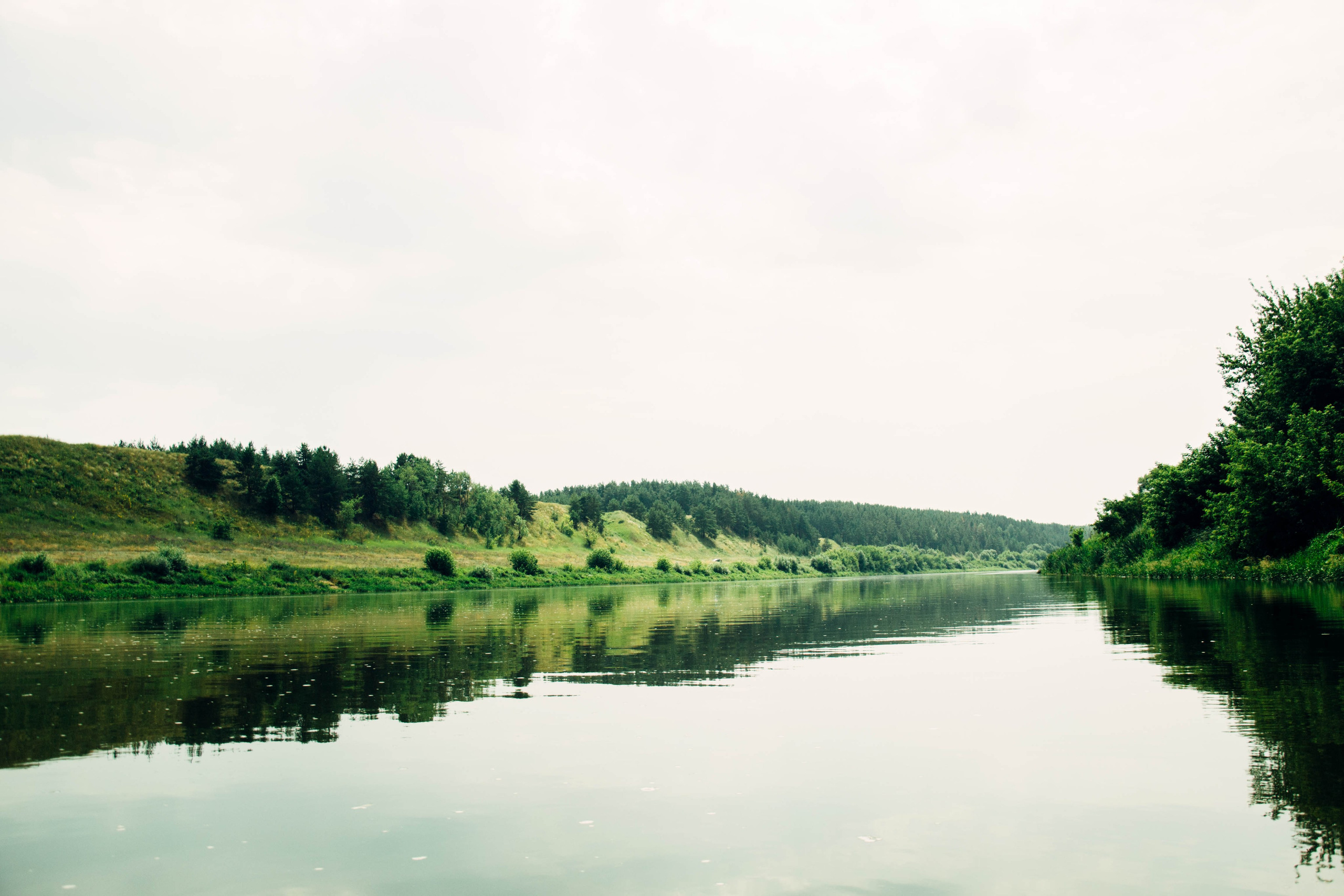 Дон. Главная