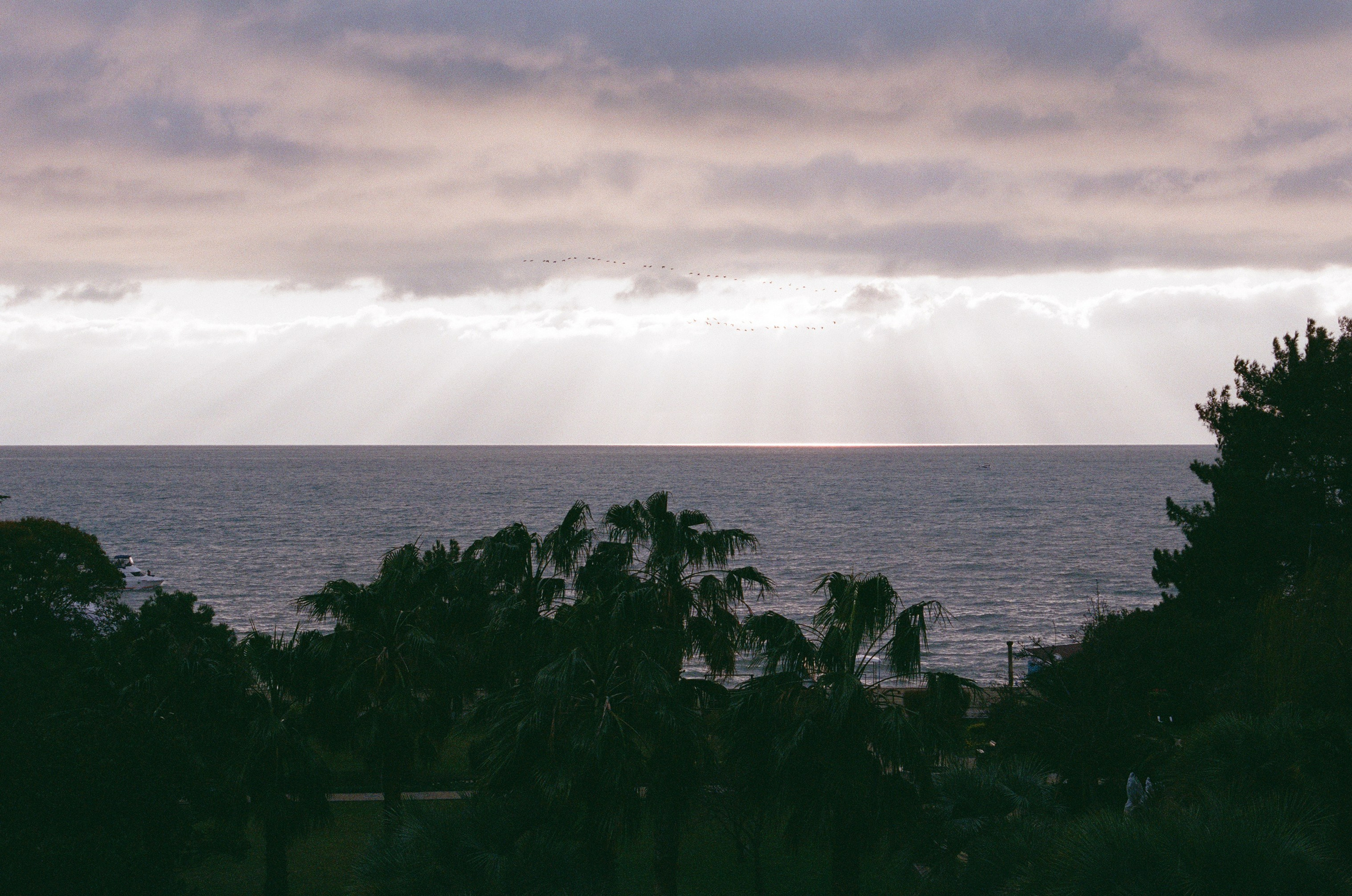 КиВиН-2024. #спецкорНвер