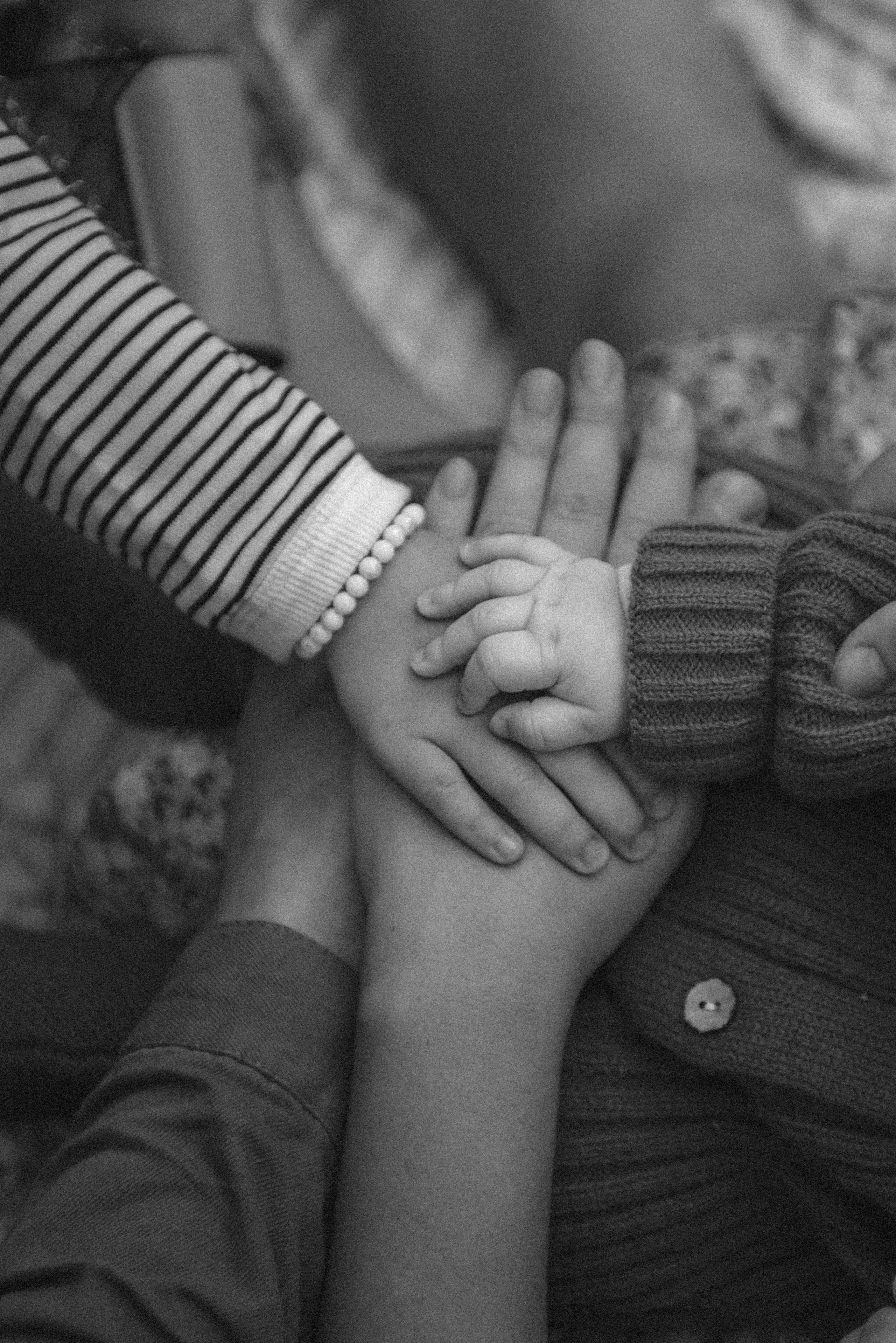 Семейная прогулка в ботаническом саду. Семейный фотограф в г. Ставрополь, Сорокина Мария