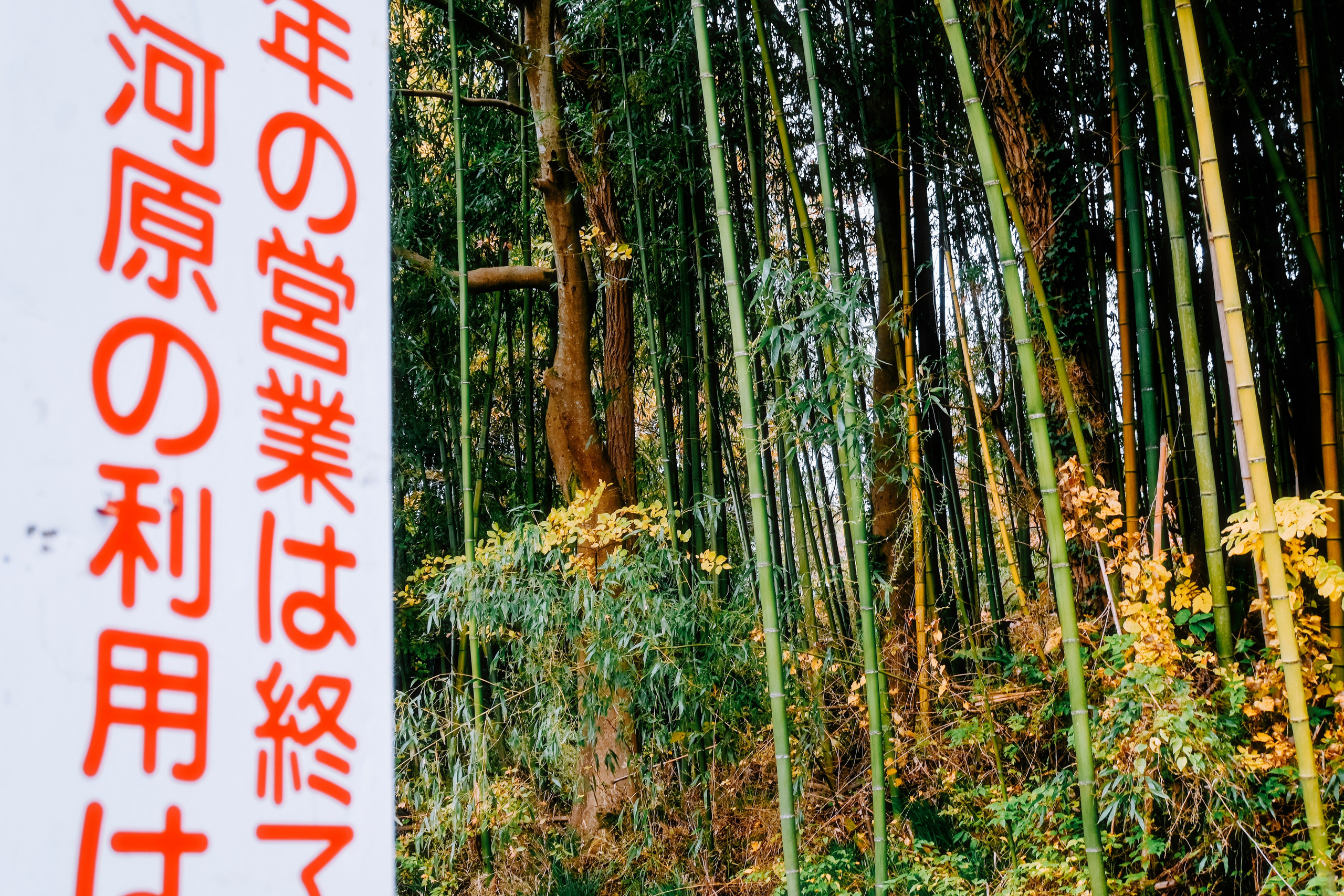 Japan village street. Iraogo