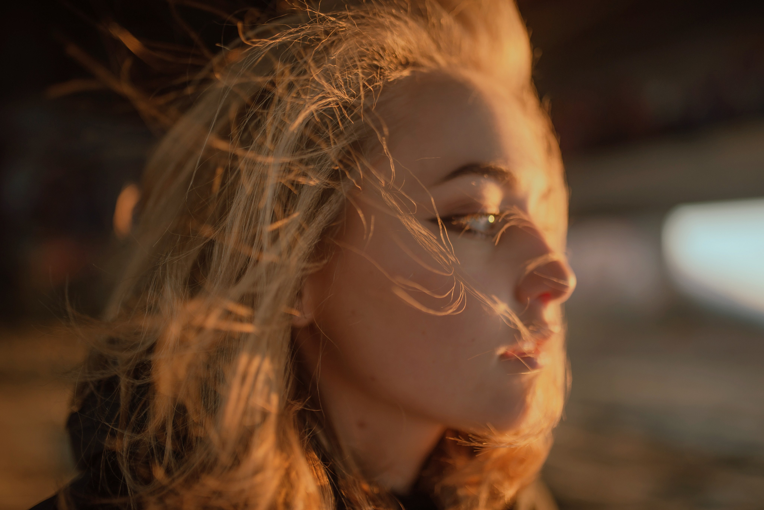 Veronika. Главная