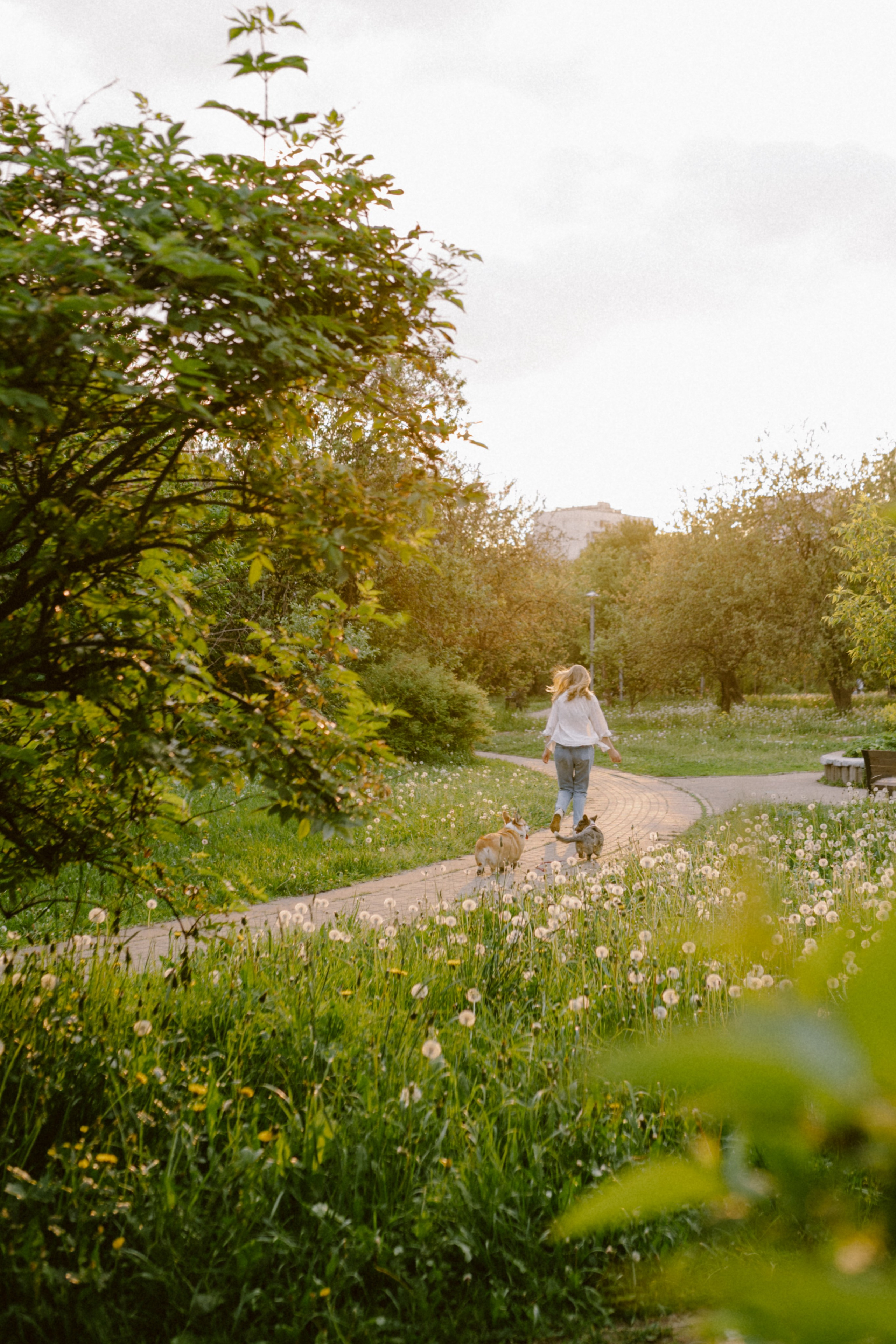 Настя и её семья. Фотограф анималист в Москве Ольга Агушева