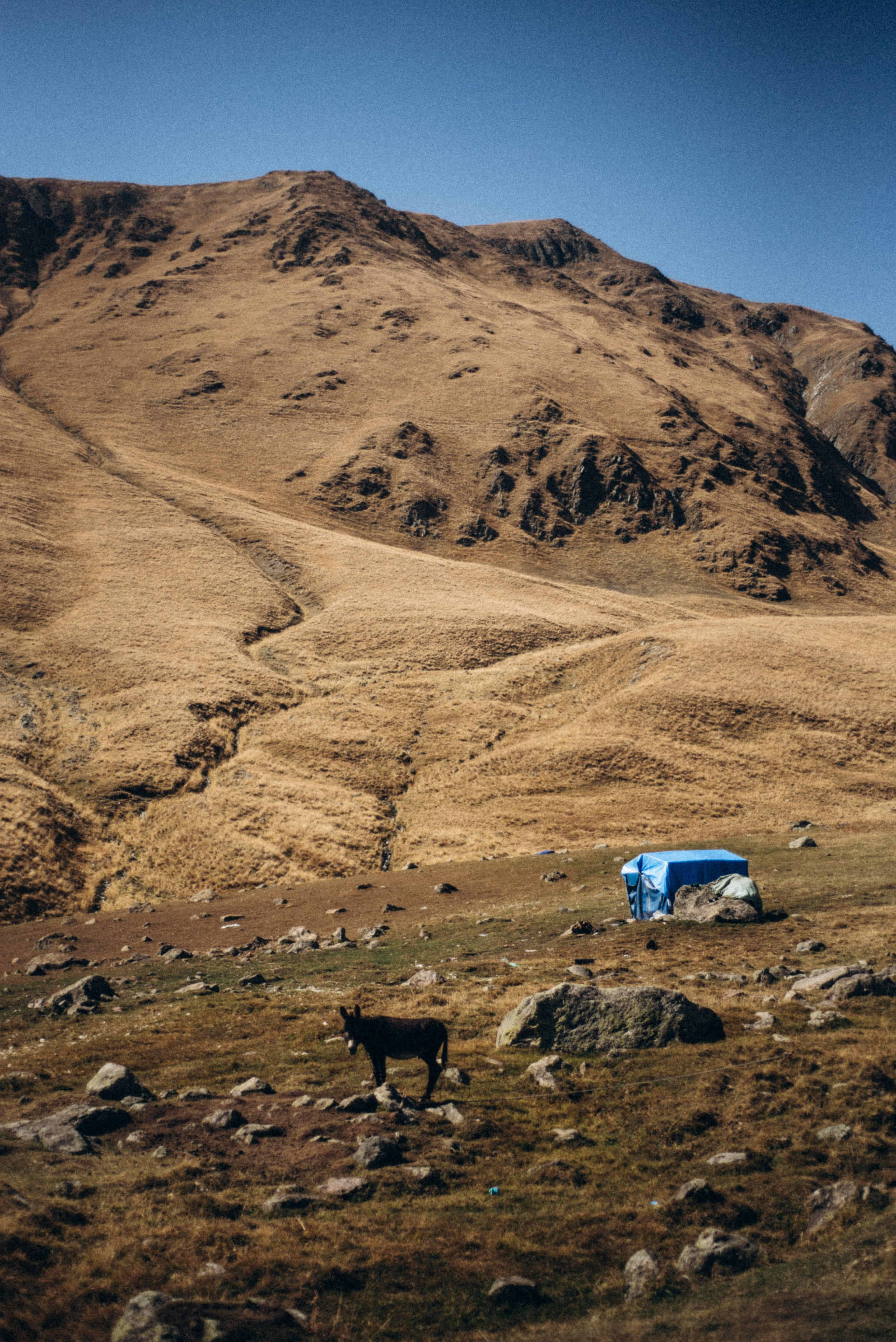 Казбег, Грузия 🇬🇪. Anita_photo