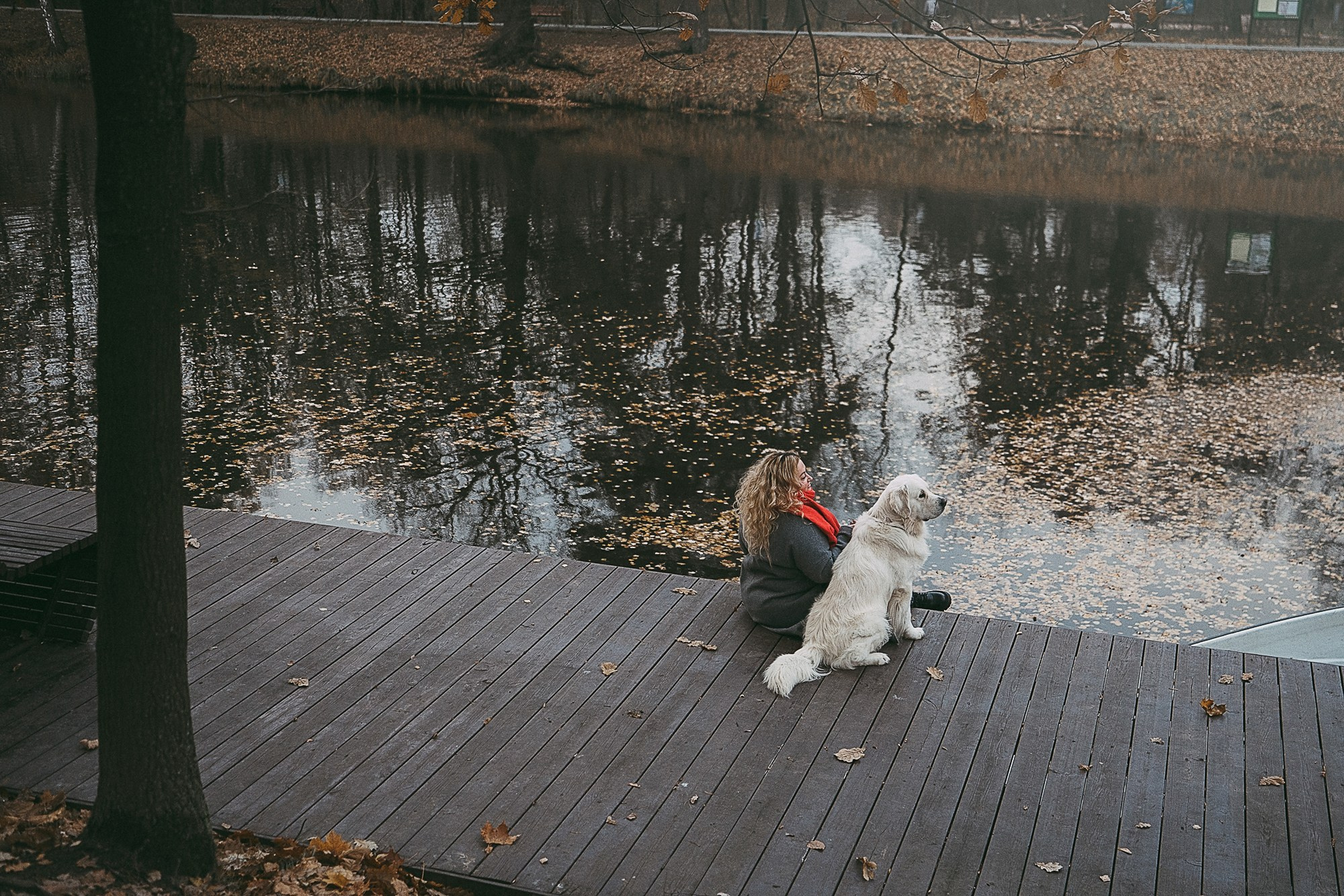 Лена и Мерлин. Фотограф анималист в Москве и Санкт-Петербурге Свиридова Анна