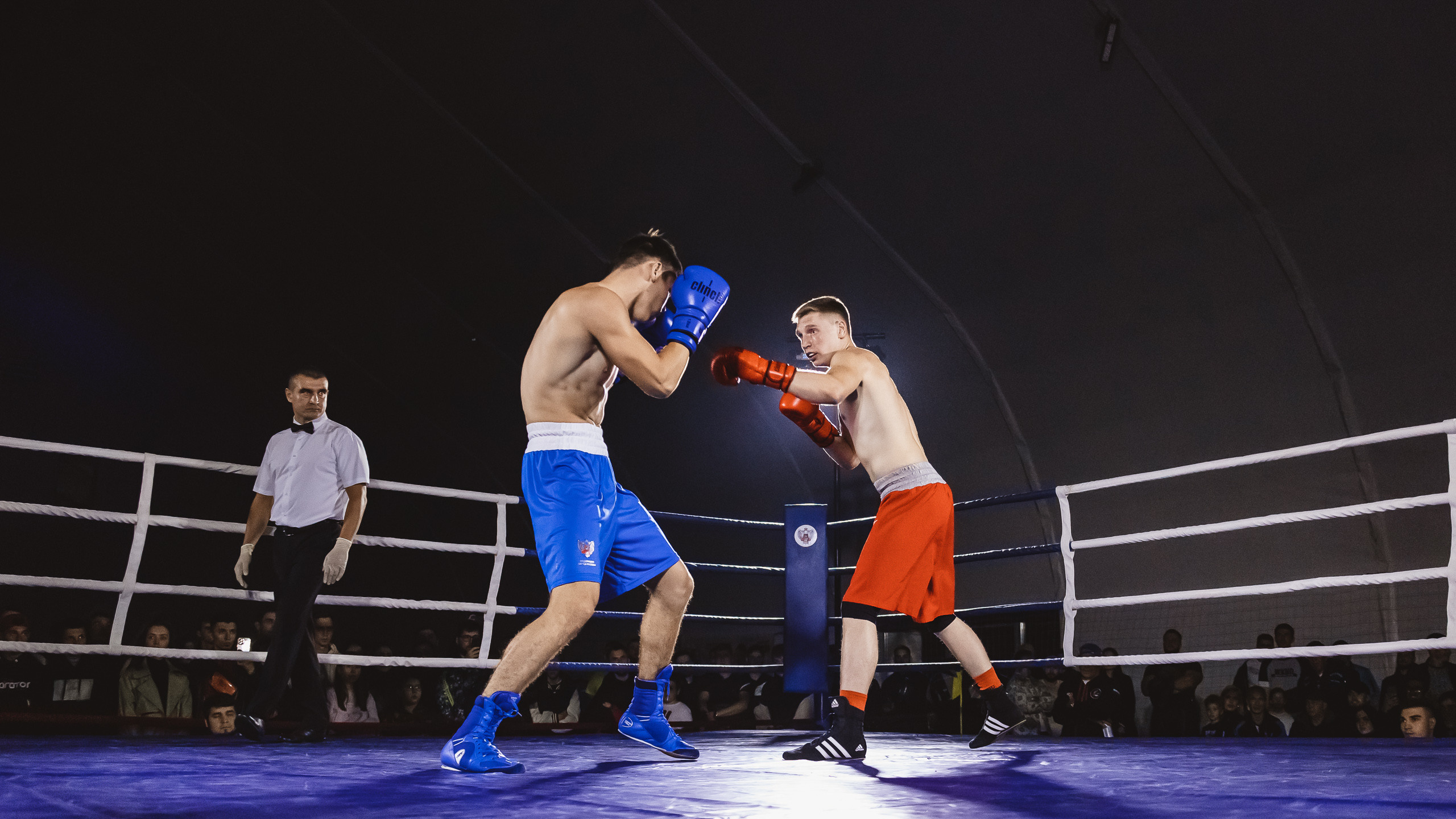 Репортаж|Бокс Белоусов/Худоян. Фотограф Егор Сухов