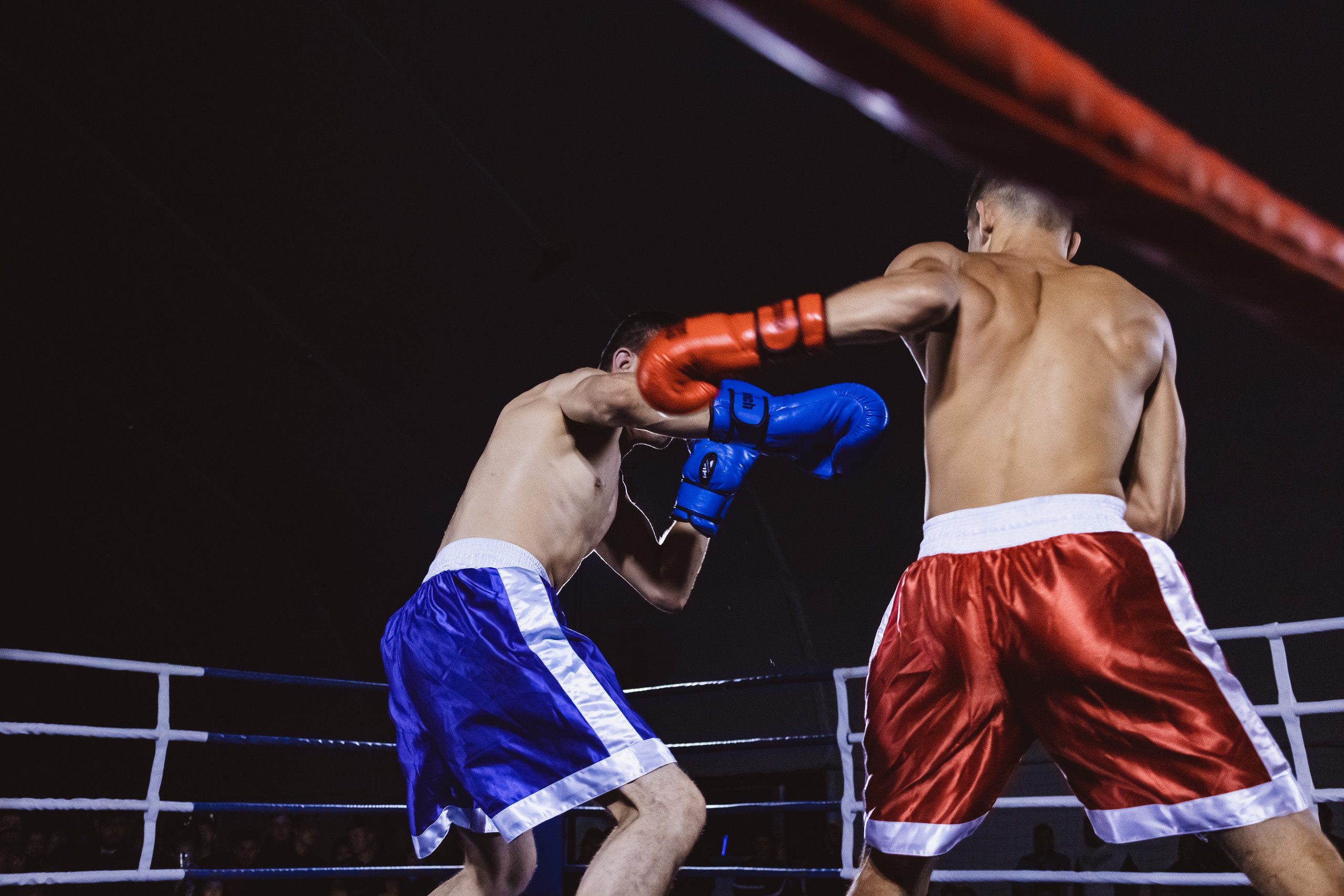 Репортаж|Бокс Белоусов/Худоян. Фотограф Егор Сухов