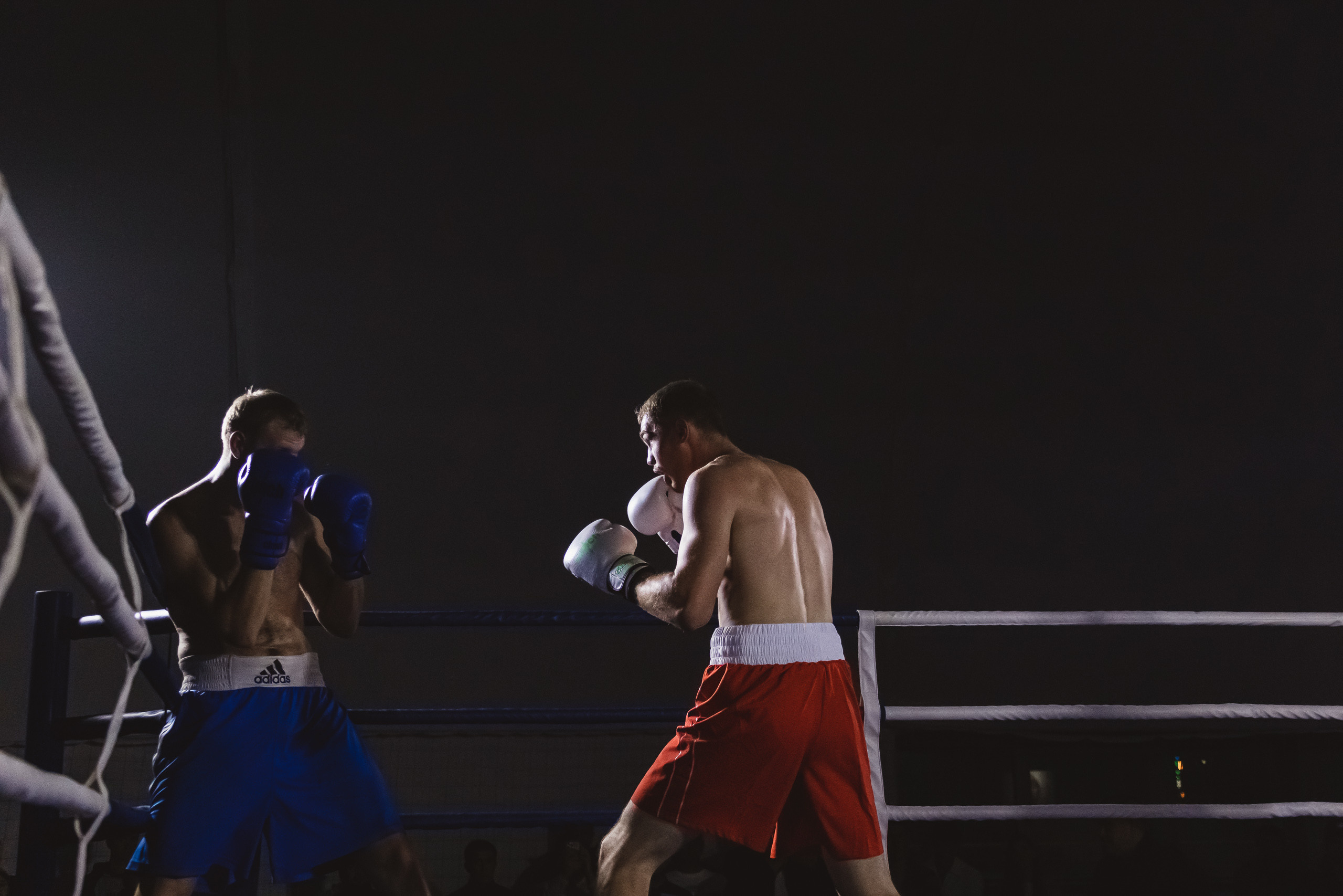 Репортаж|Бокс Белоусов/Худоян. Фотограф Егор Сухов