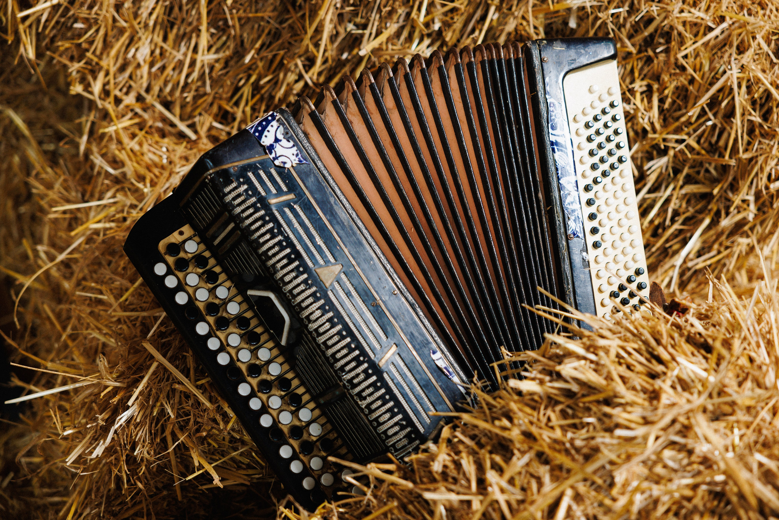 Юбилей 55 лет. Фотограф в Сочи, Репортажный фотограф Виктор Кочков-Филатов