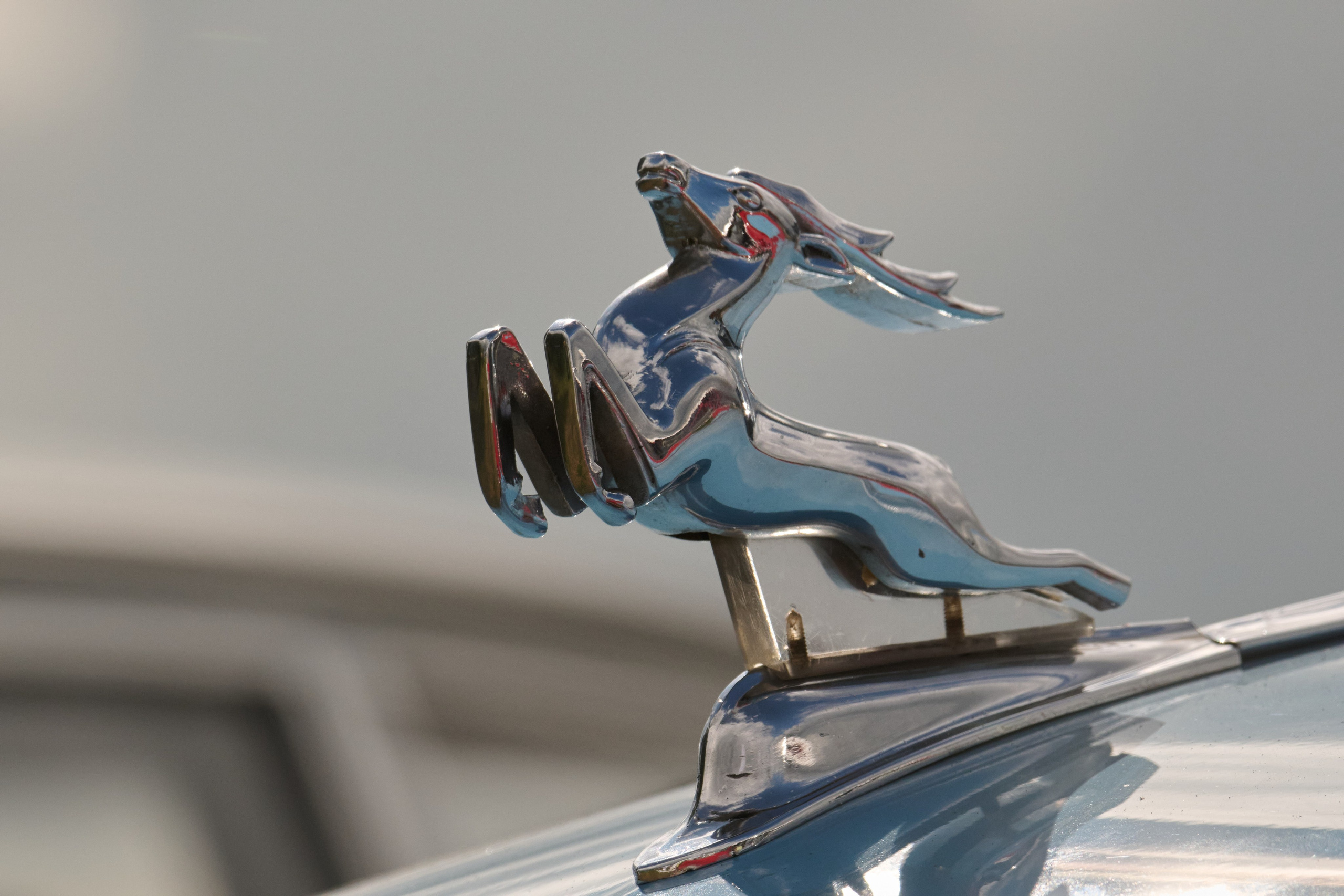 3 этап кубка Ракеты 2025 год. Сергей Богомолов. Свадебный и семейный фотограф