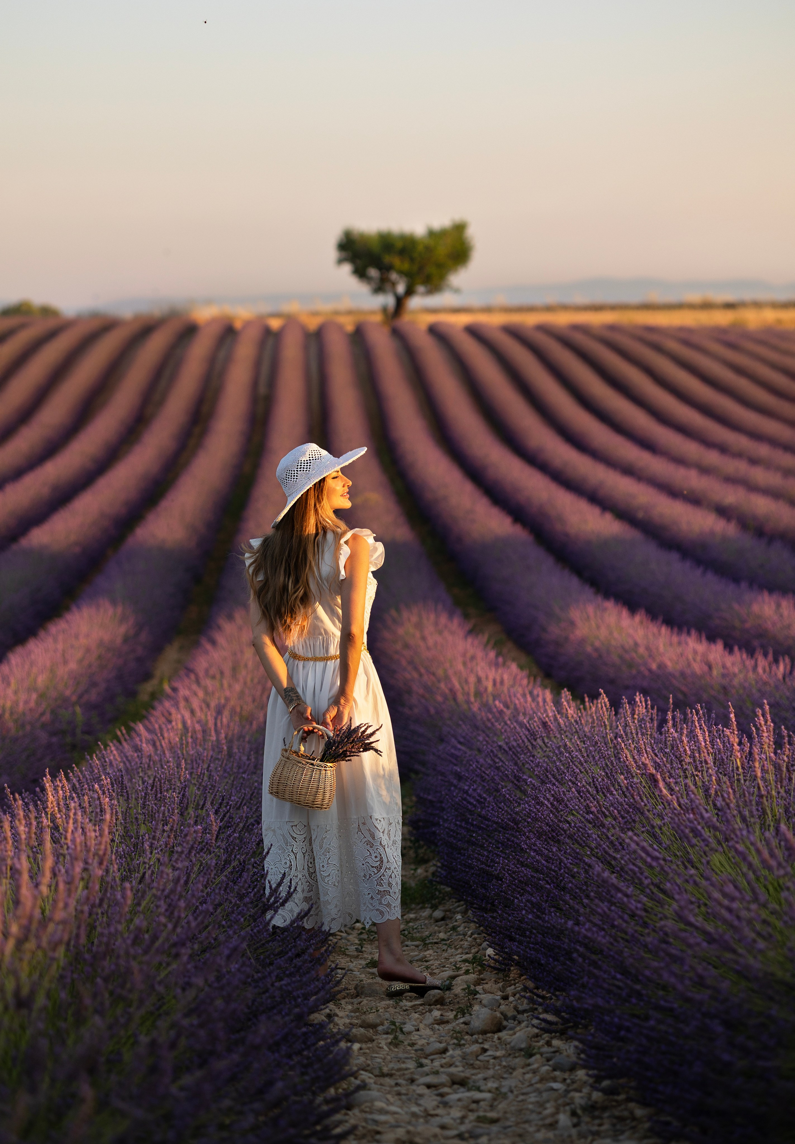 Provence. Photographer in Munich