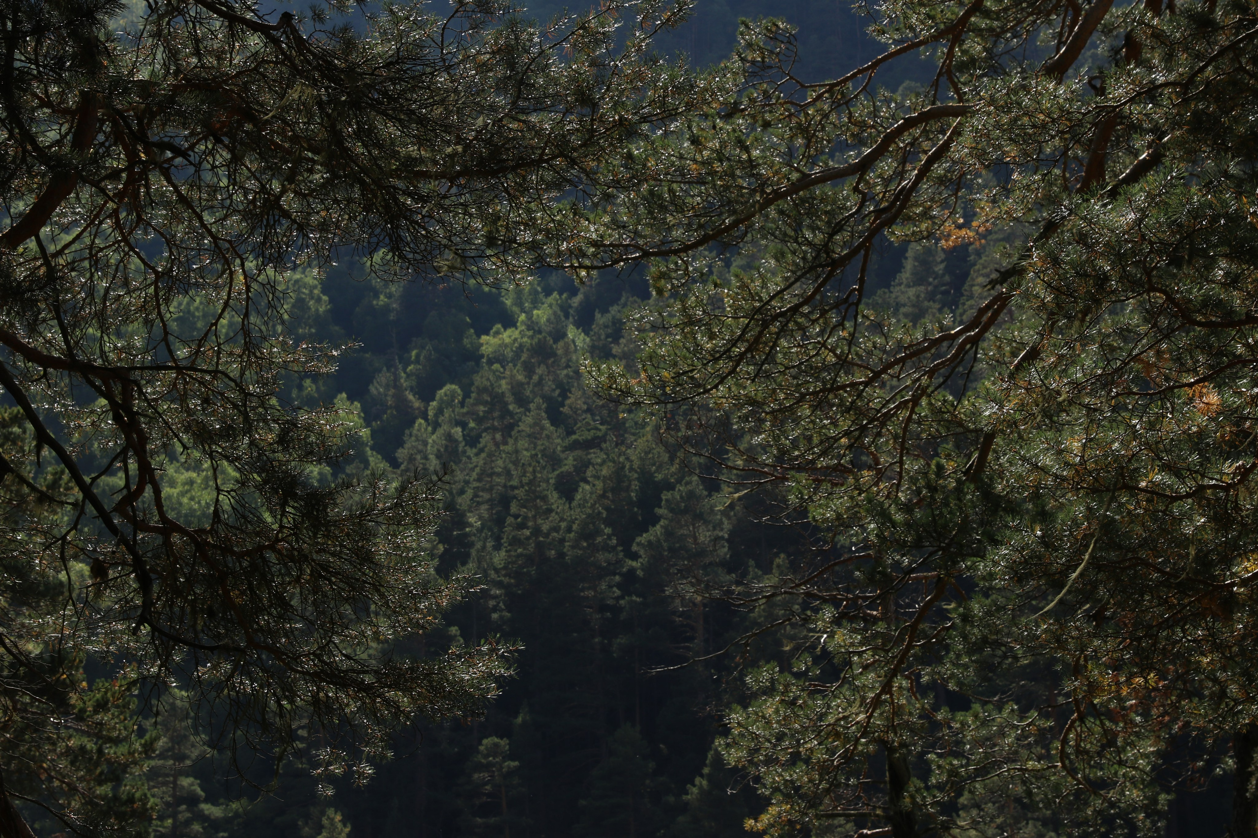Приэльбрусье. Сентябрь 2023. Путешественник-фотограф из Санкт-Петербурга Татьяна Свистулина