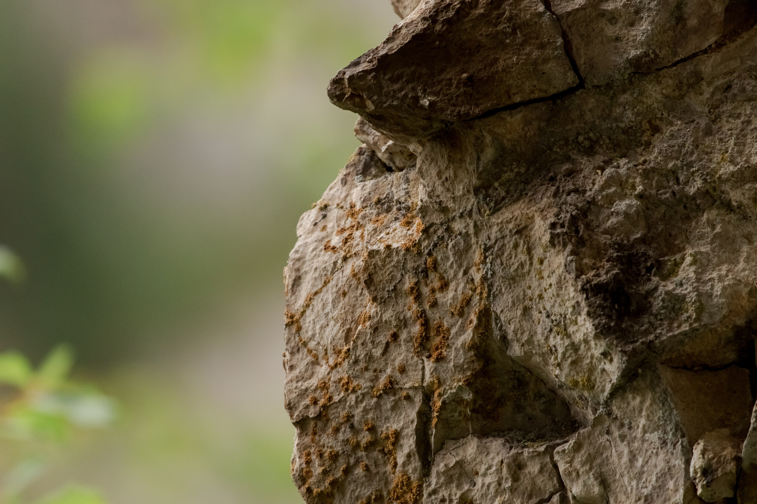 Фототур Кия. Фотограф Кирилл Мешков Кемерово