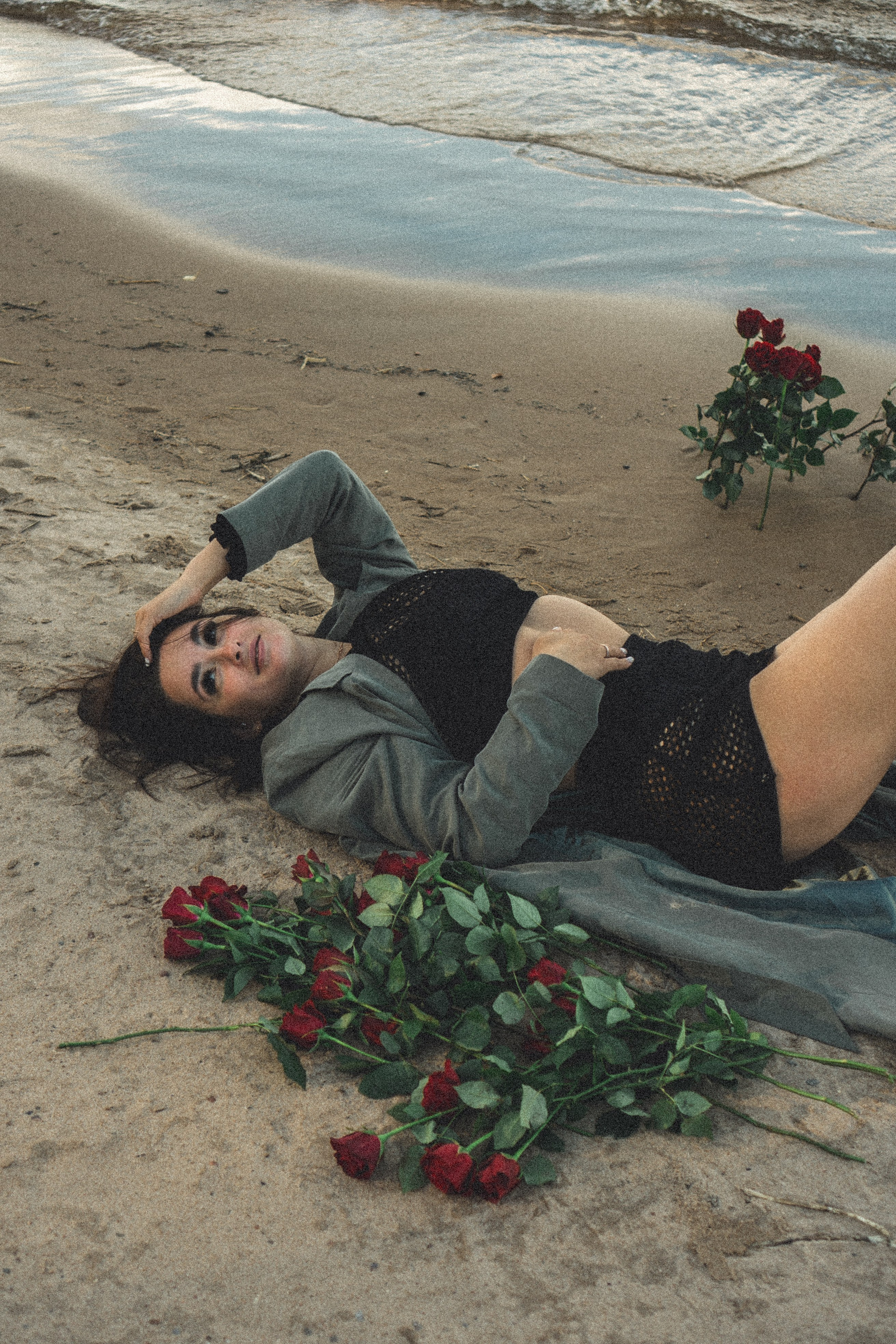 Розы. Профессиональный фотограф, Санкт-Петербург — Виктория Богомолова