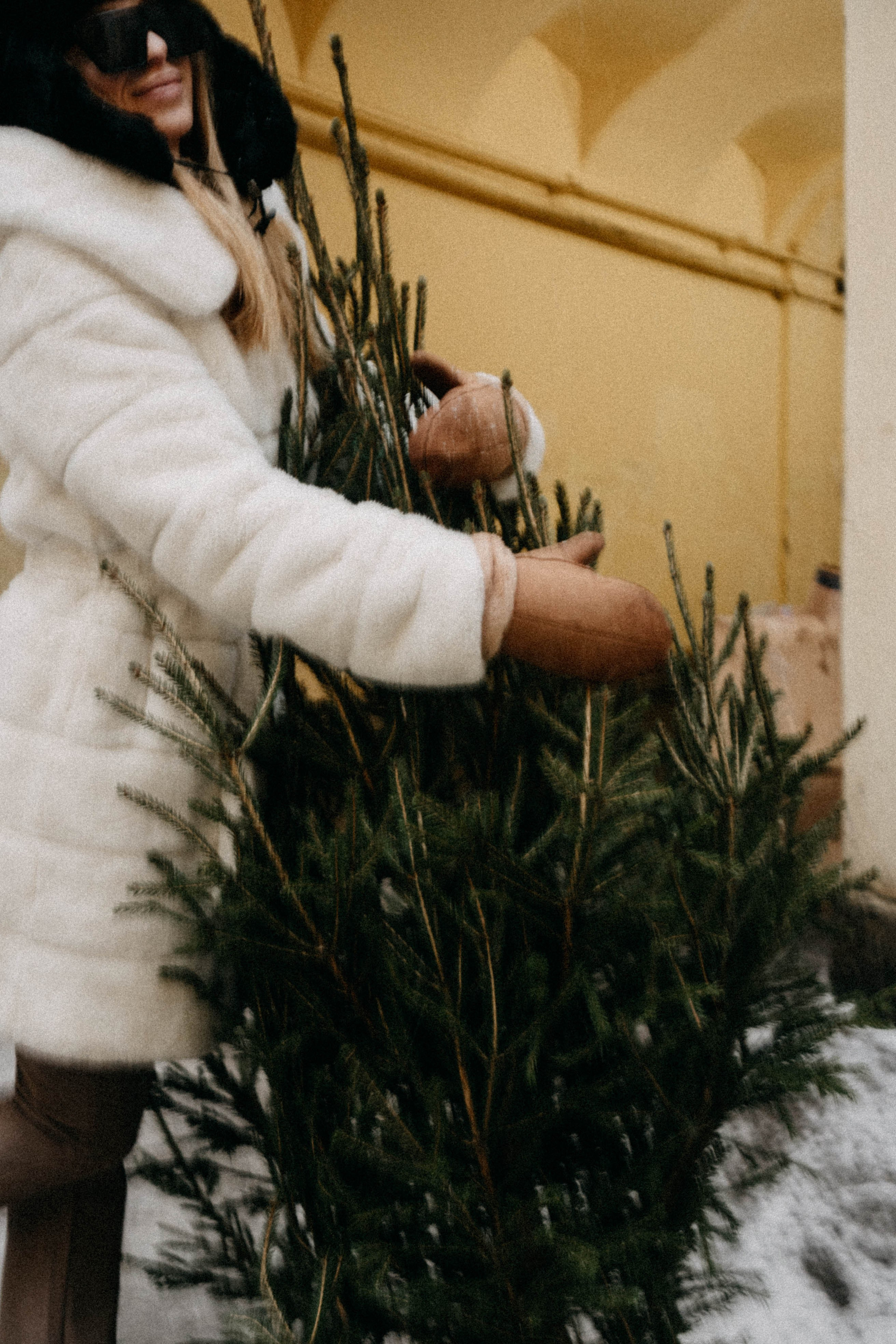 Новогодняя. Профессиональный фотограф, Санкт-Петербург — Виктория Богомолова