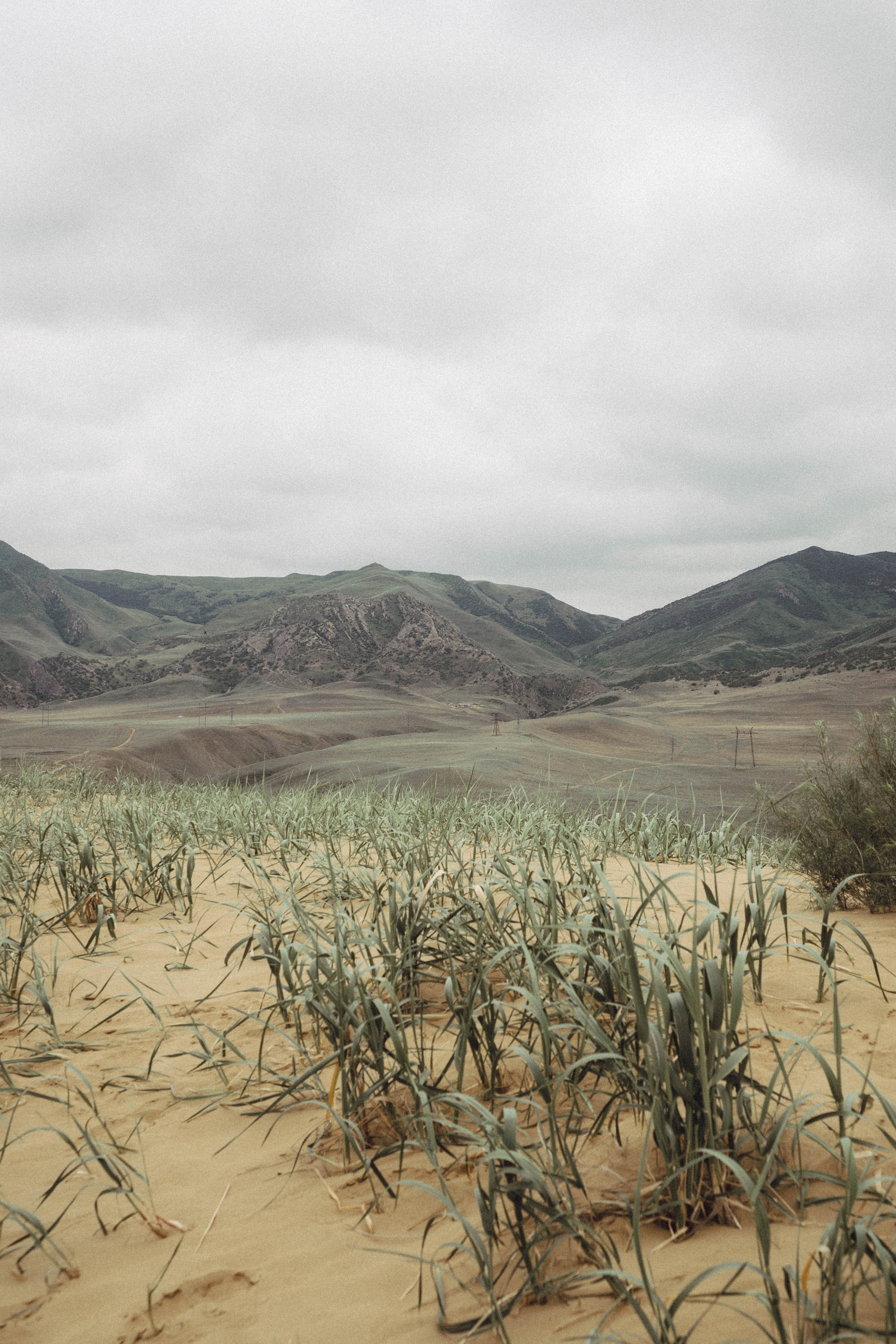 Кавказ. Профессиональный фотограф, Санкт-Петербург — Виктория Богомолова