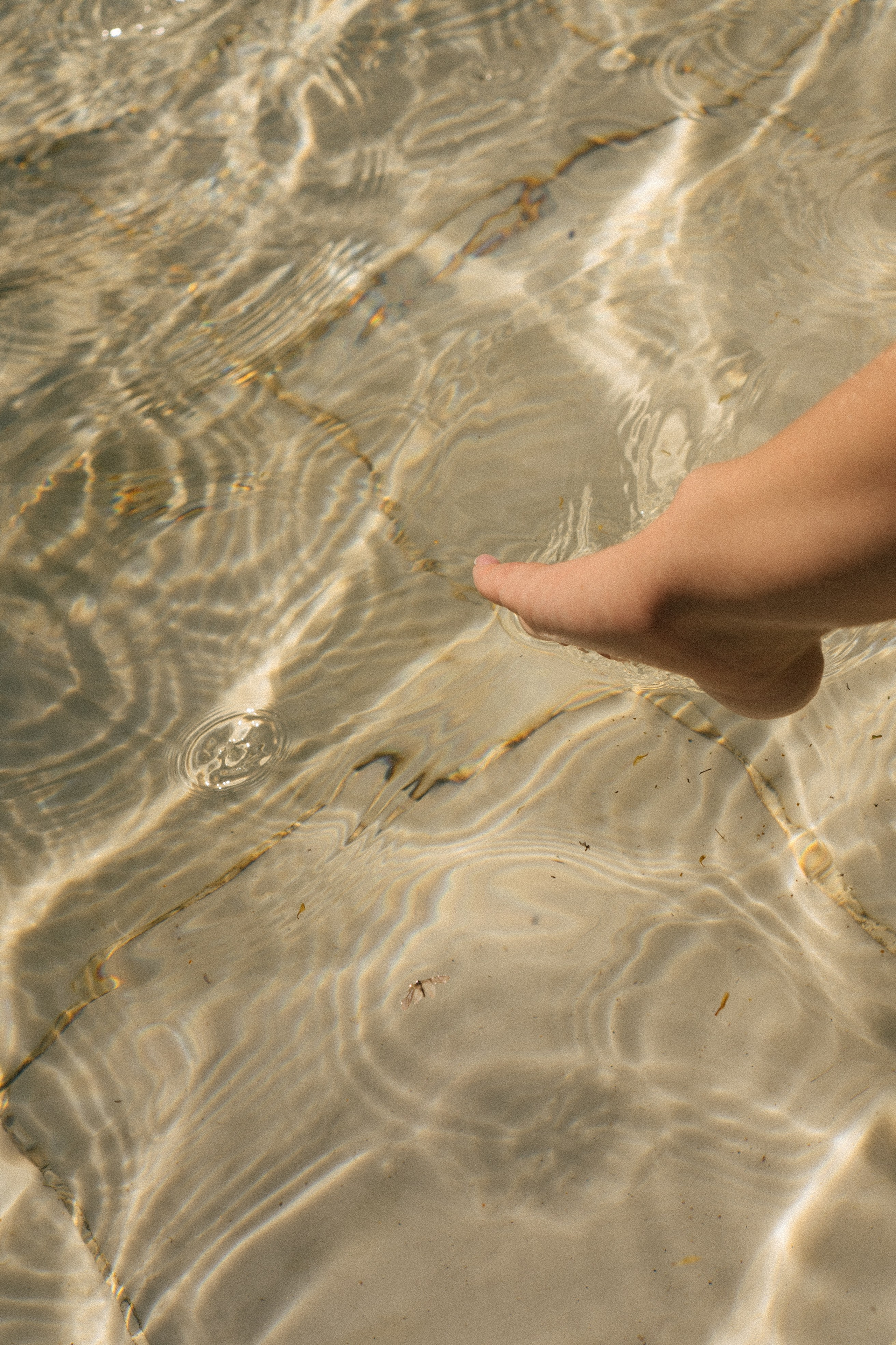 ПРОГУЛКА ПО ЛЕТНЕМУ САДУ. Профессиональный фотограф, Санкт-Петербург — Виктория Богомолова