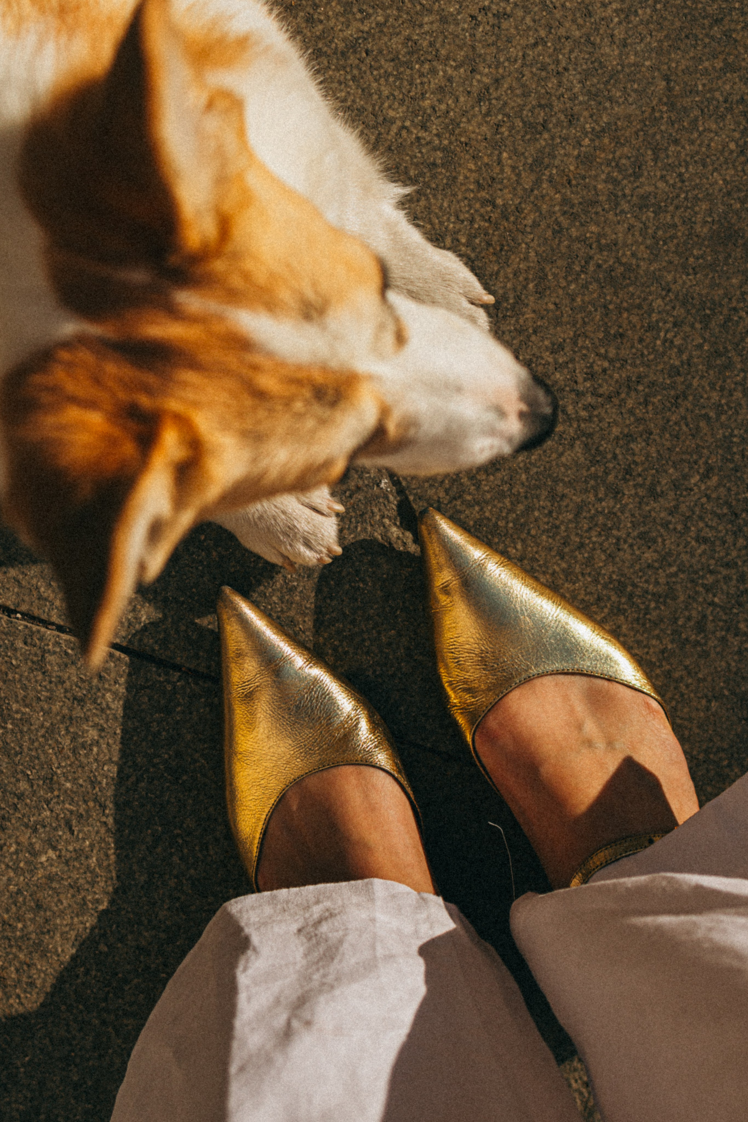 Даша, Рома и Лесли. Фотораф — анималист Мария Шистка