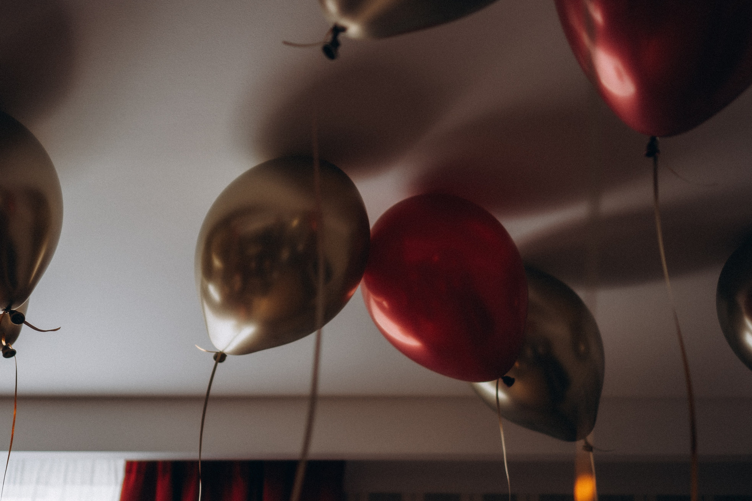 ДЕНЬ РОЖДЕНИЯ. Профессиональный фотограф, Санкт-Петербург — Виктория Богомолова