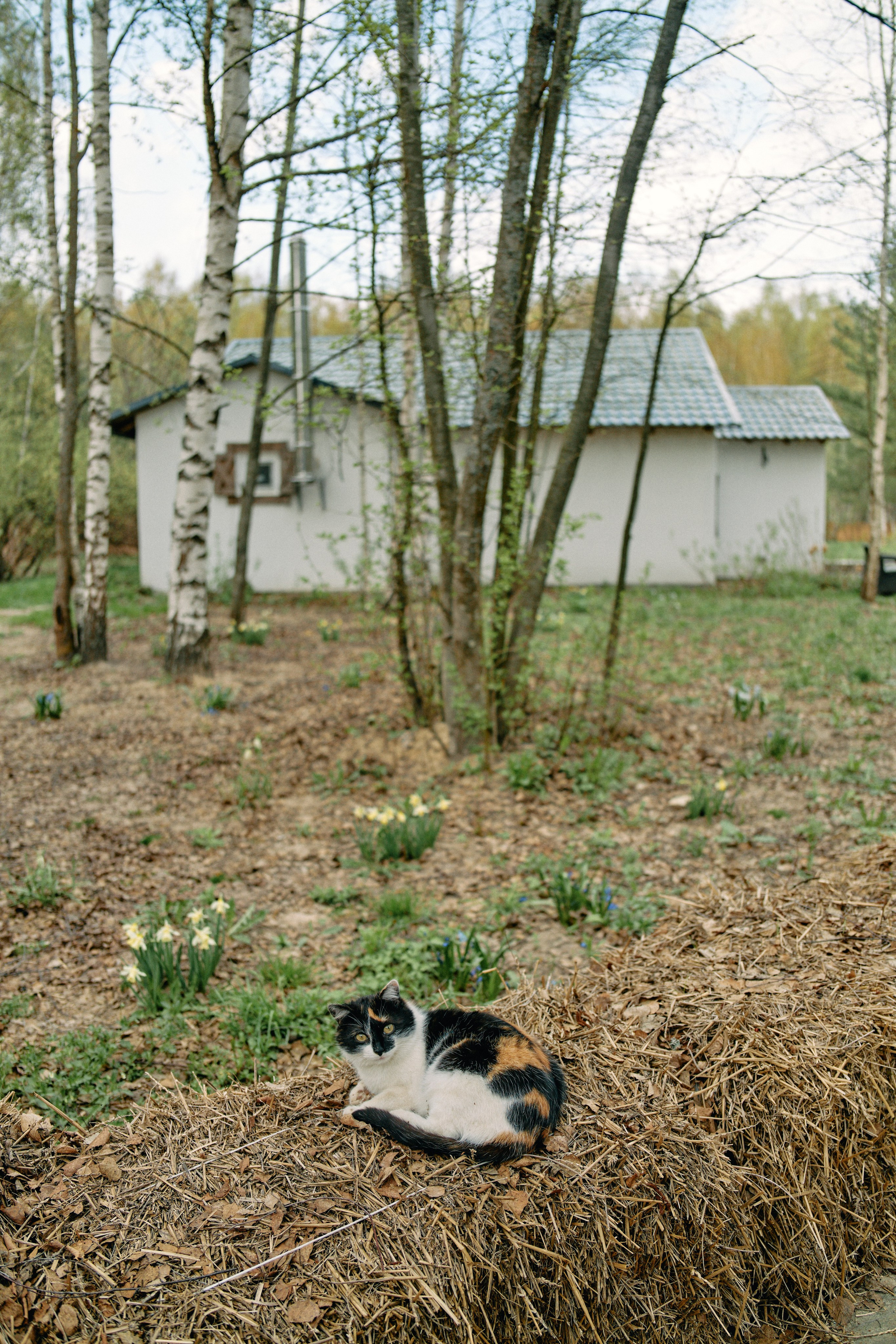 Бутик-отель Поле летом. Профессиональный Фотограф во Владимире, в Москве и в Суздале — Полина Романычева