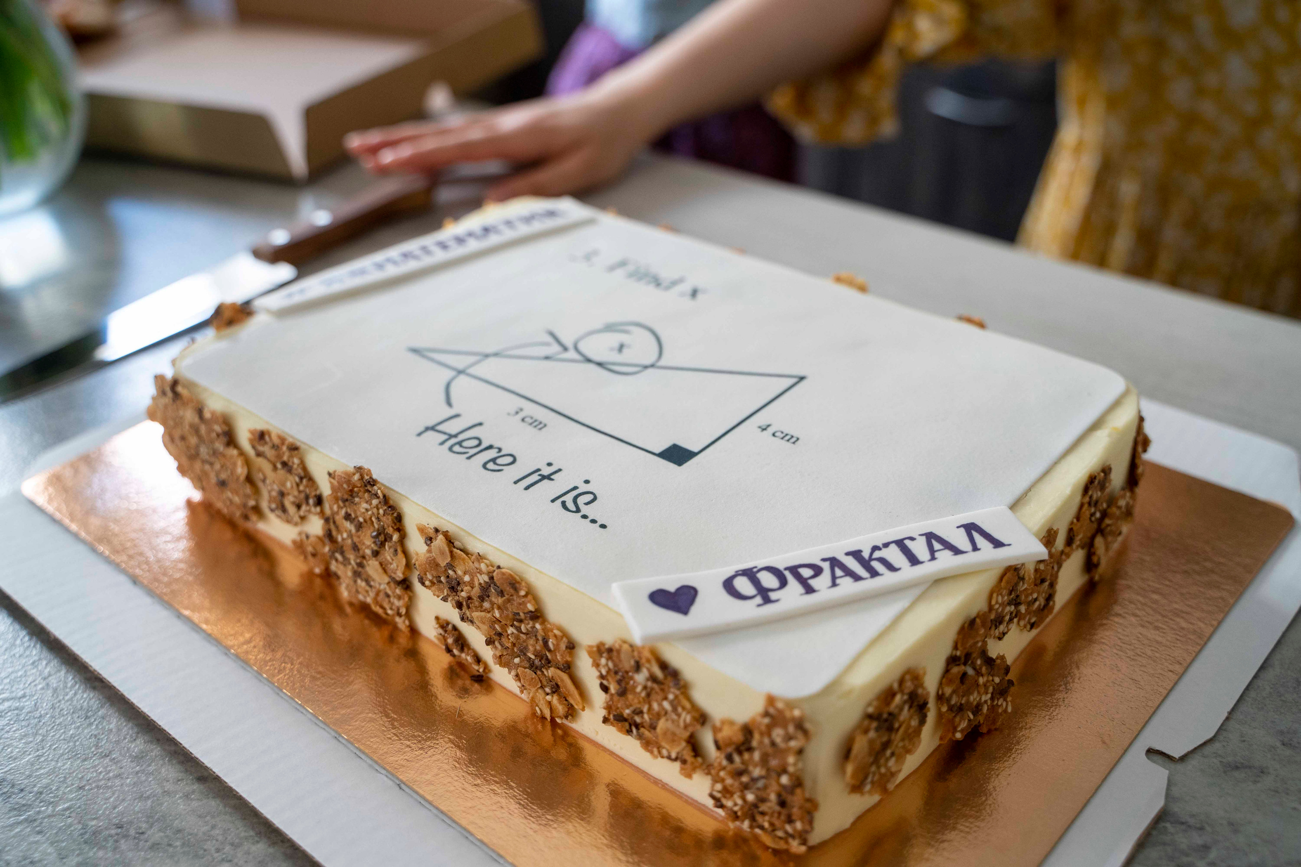 Праздник в школе Фрактал. Фотограф в Санкт-Петербурге, фотодни в СПБ