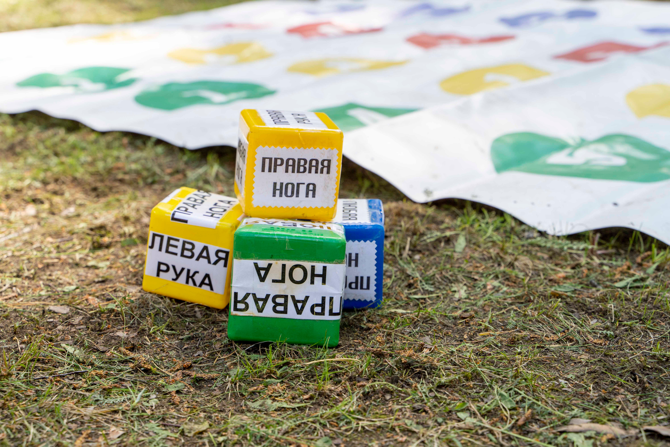 Выездной праздник школы Фрактал. Фотограф в Санкт-Петербурге, фотодни в СПБ