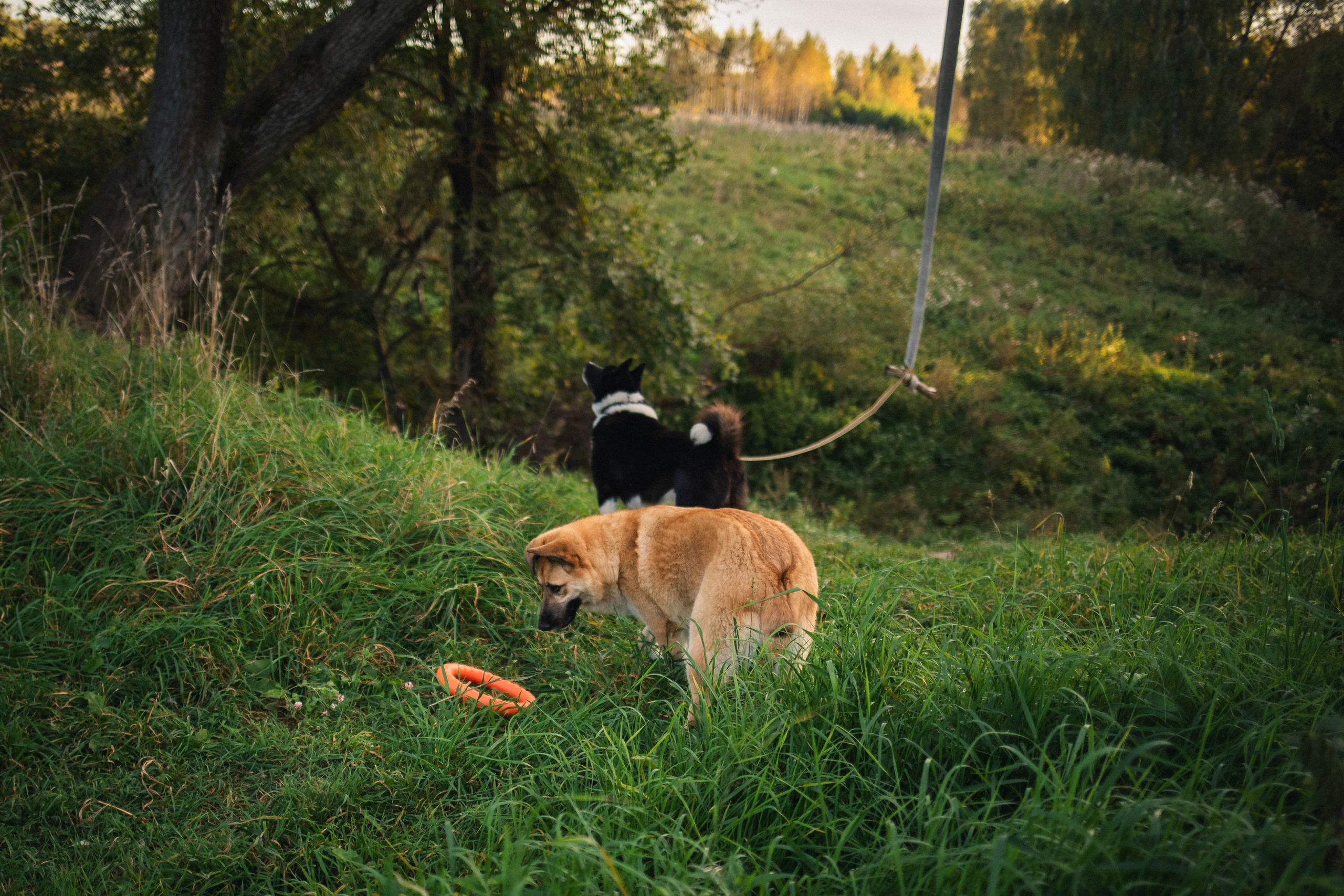 Альбом2. Фотограф Мария Сургаева | Профессиональная фотосъемка в Москве