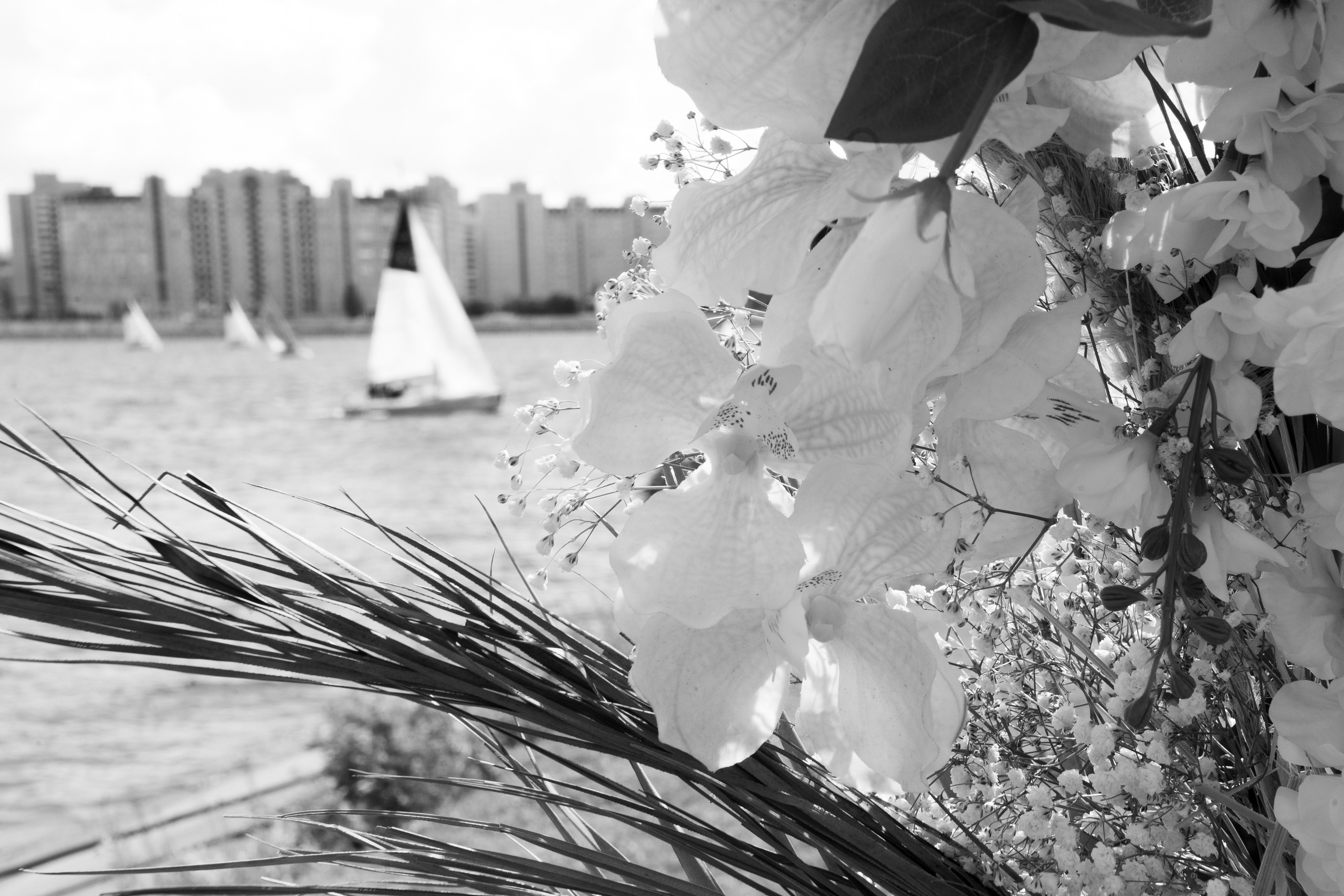 Санкт-Петербург. Свадебный фотограф-видеограф в Архангельске. Фотохудожница Lana Contra