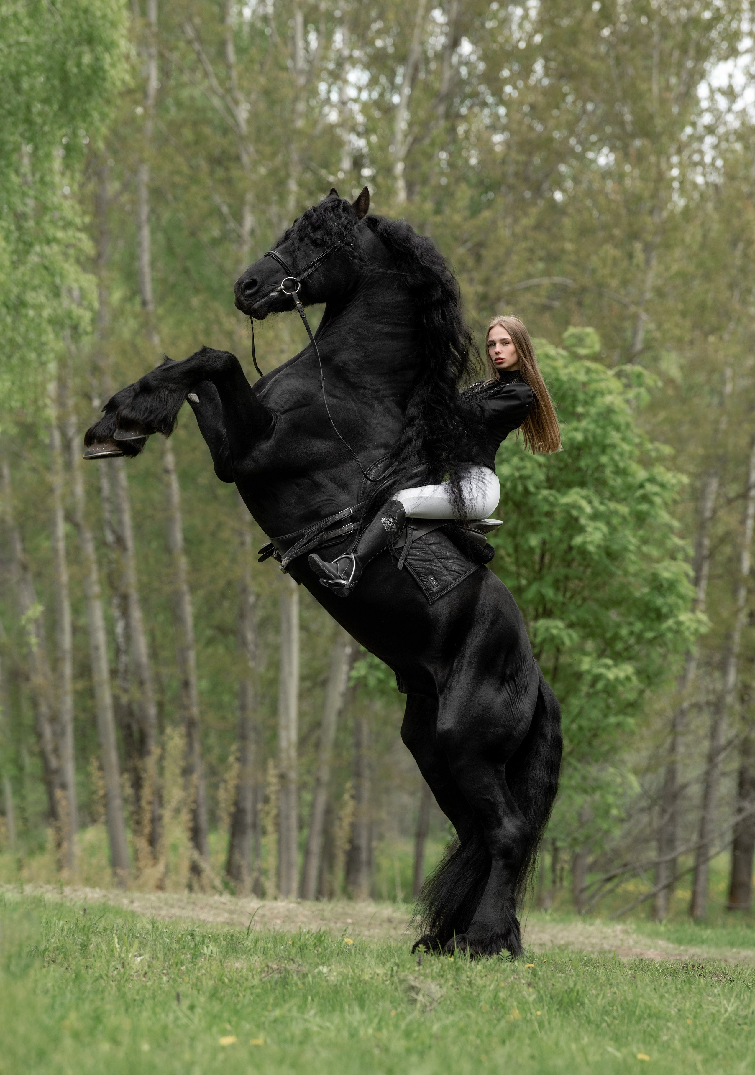 Атмосферная съёмка с чёрной лошадью