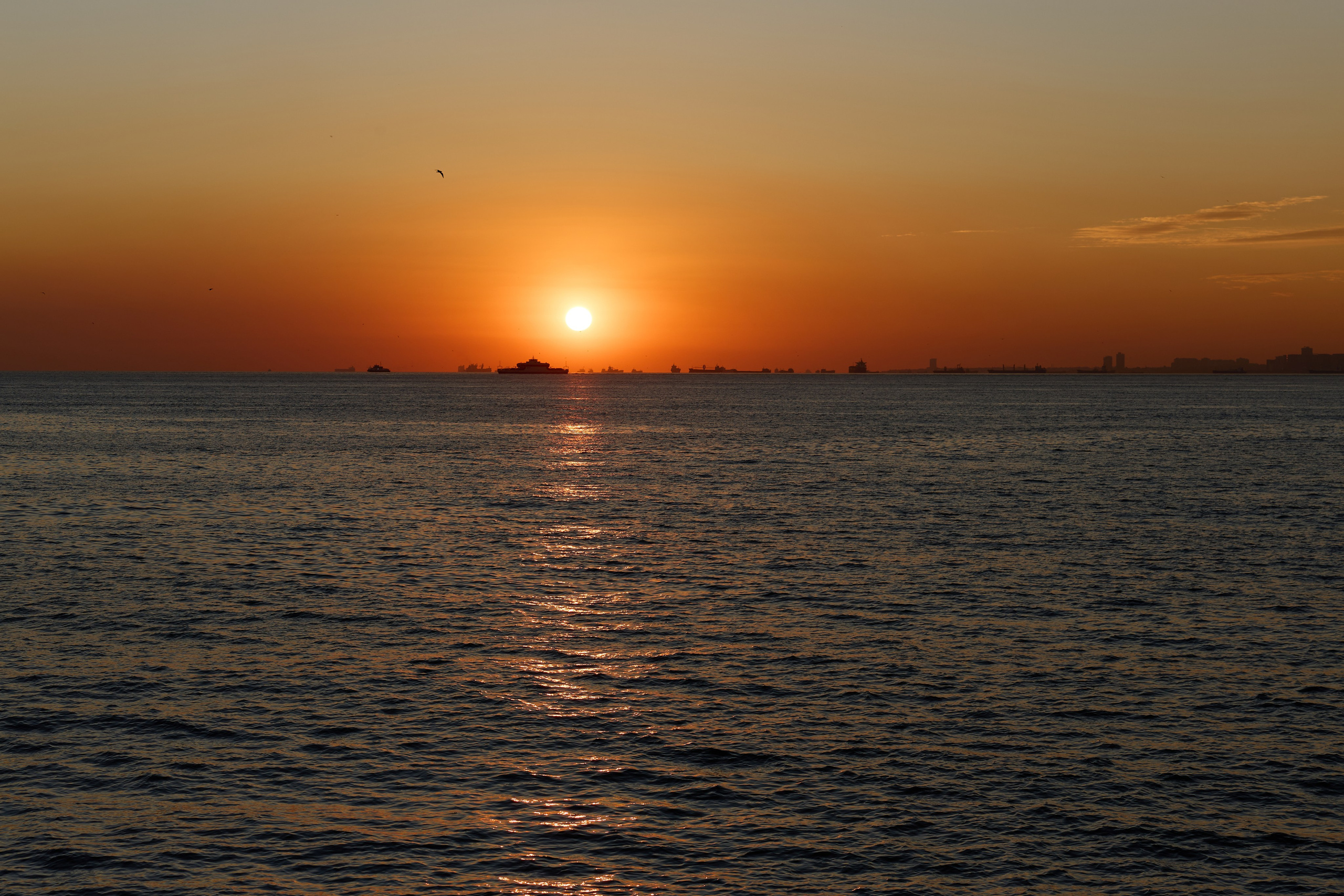 Стамбул 24. Фотограф Москва, Дима Пеллер