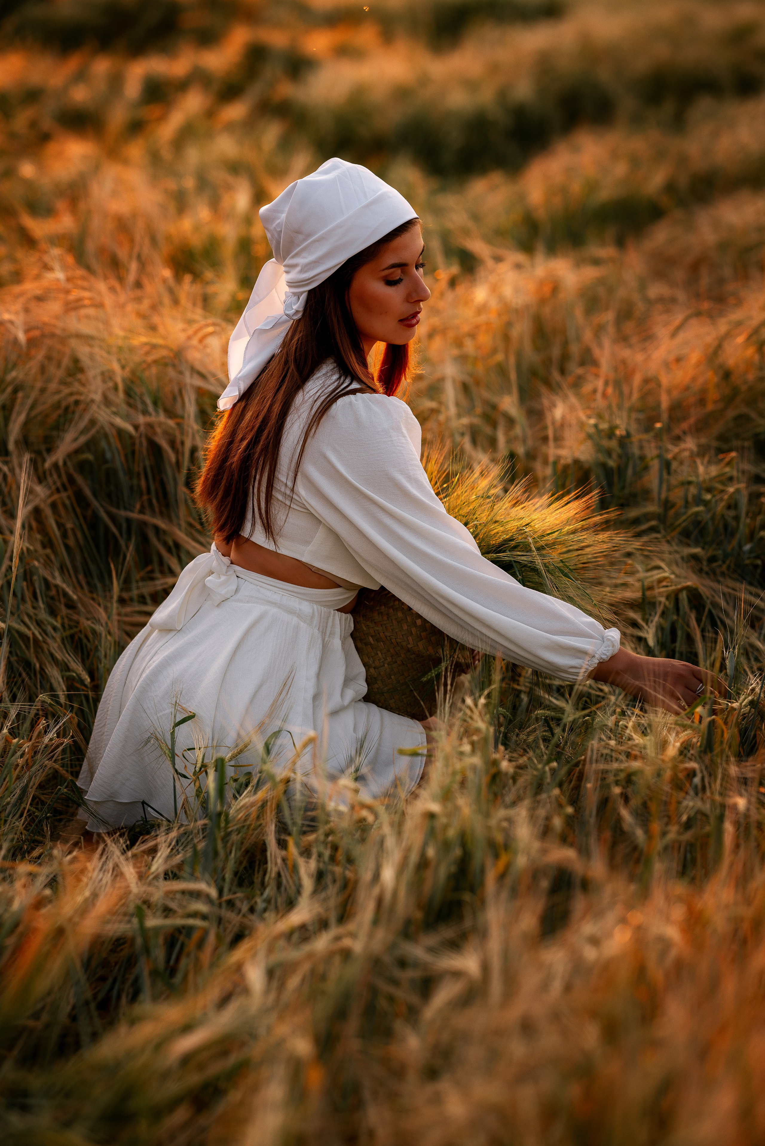 Пшеничное поле на закате. Женский и семейный фотограф в Москве Виктория