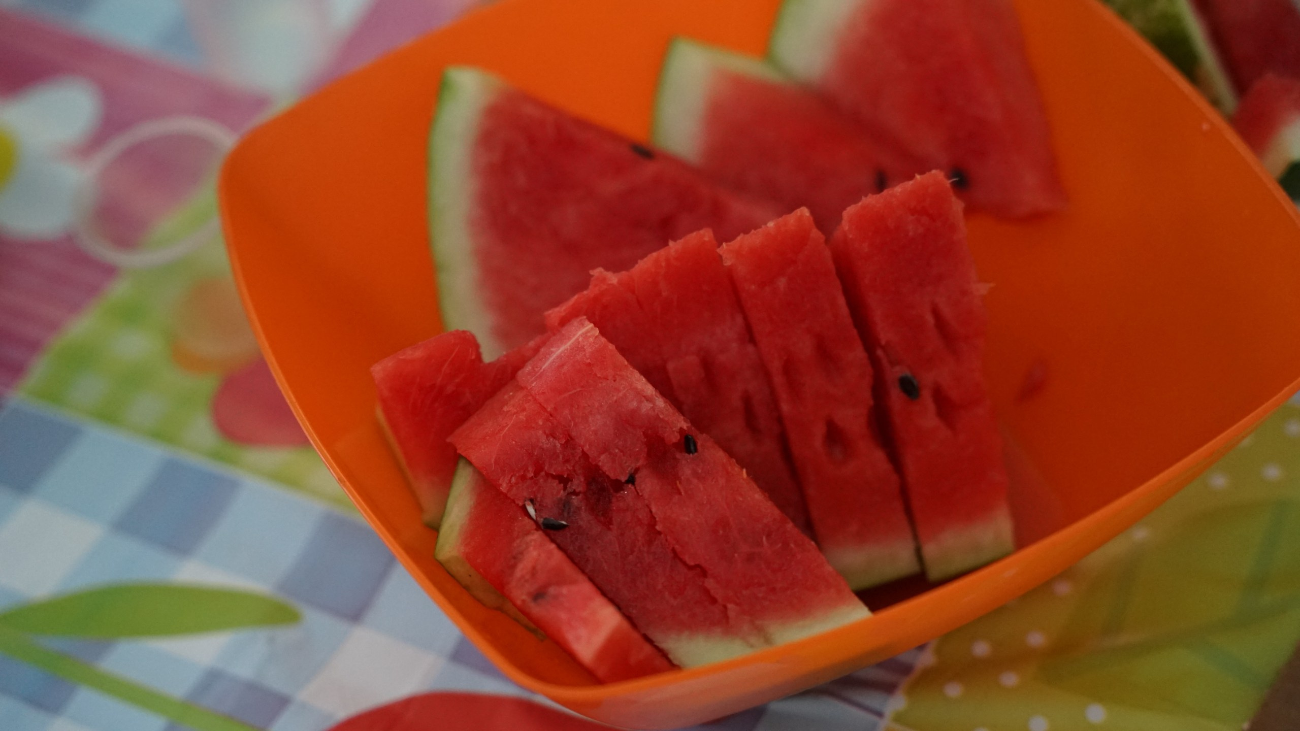 Походная Романтика 40. Хиппиленд | 05-07.08.22. Галерея Фантим