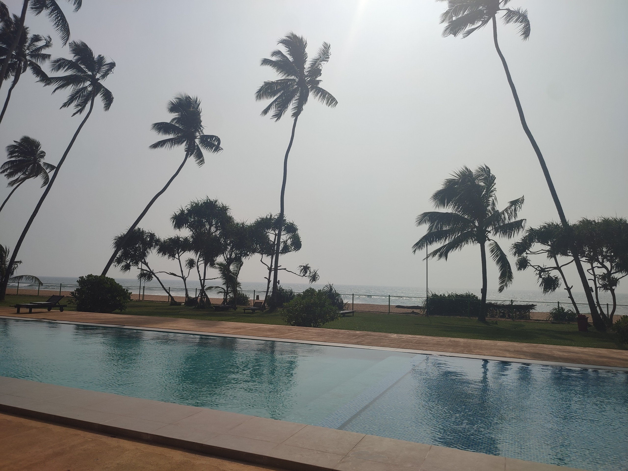 Шри-Ланка | 31.01 — 10.02.2025. Галерея Фантим