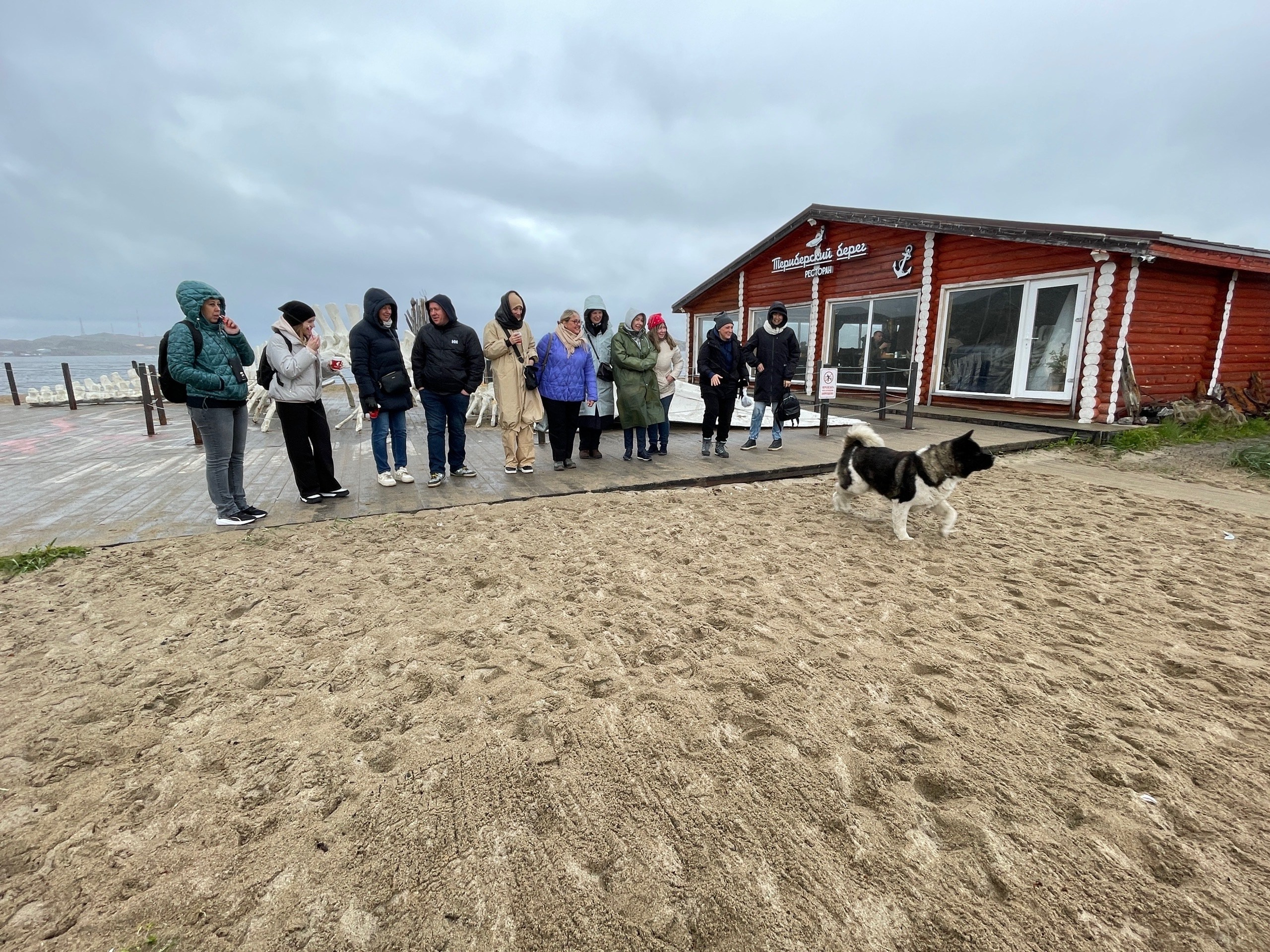 Мурманск | 20-22.06.2025. Галерея Фантим