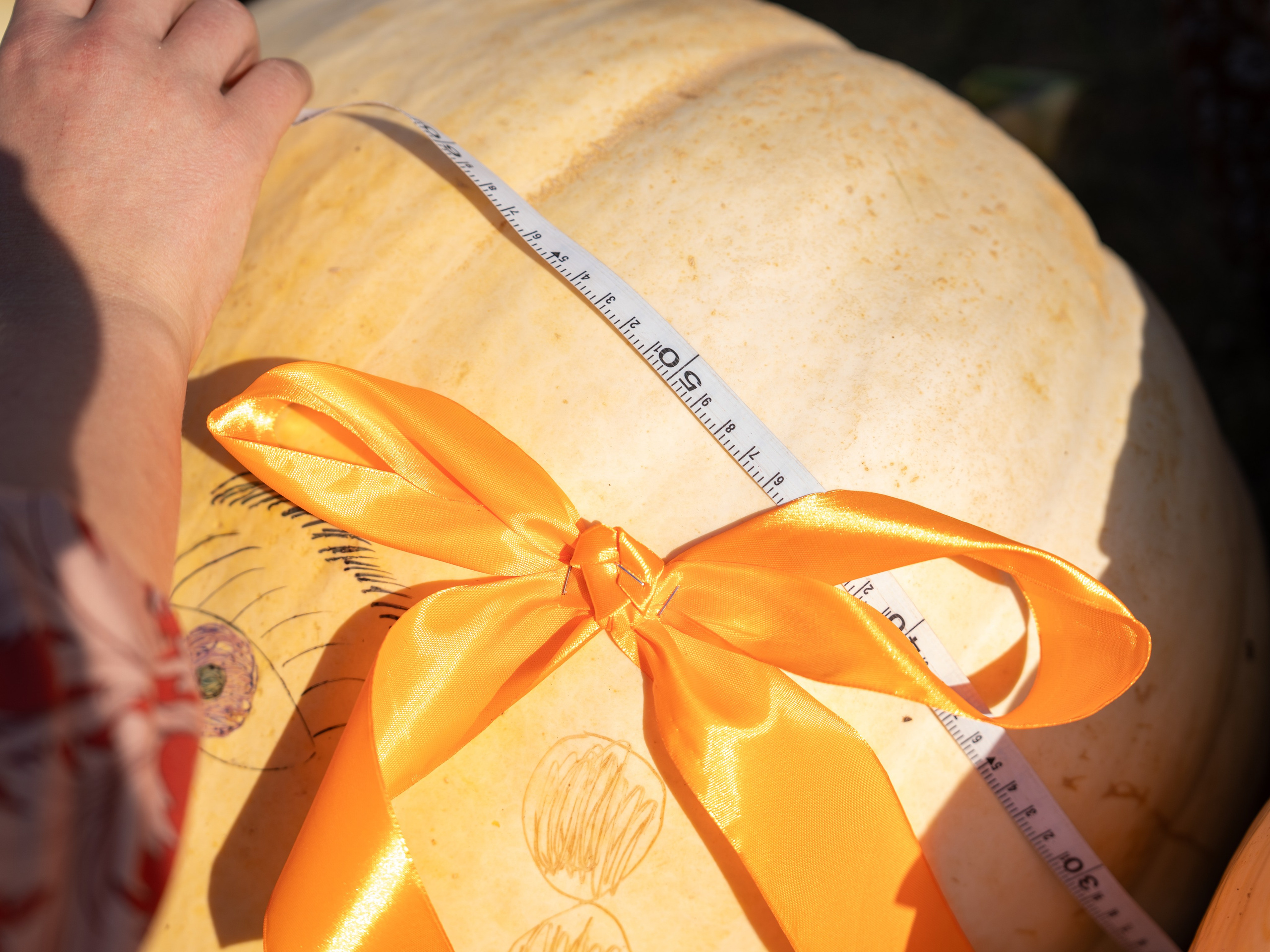 Ярмарка. Фотограф Наталья Сорока Ижевск