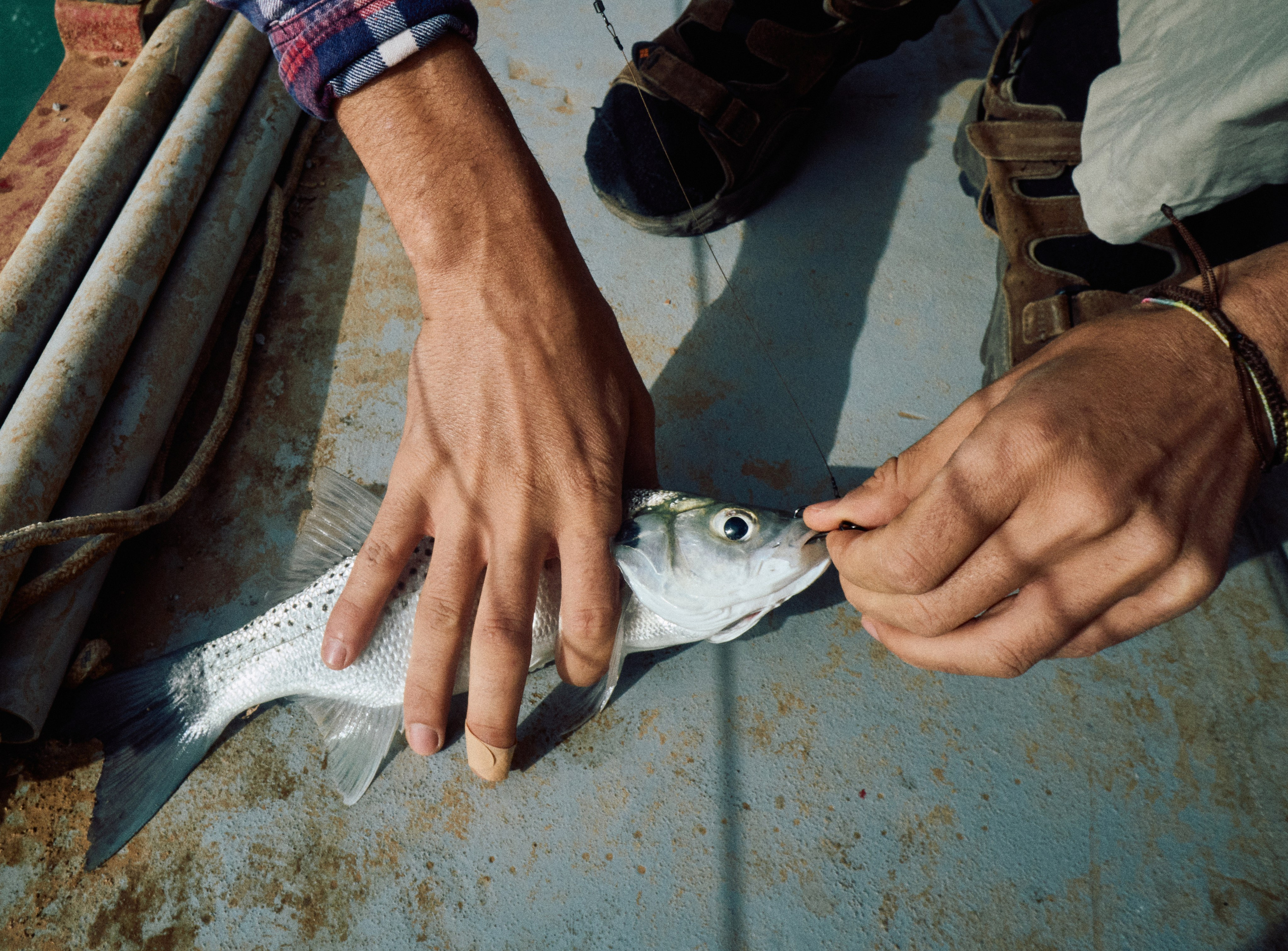 Morocco-Gambia. See the moment and catche. commercial and reportage