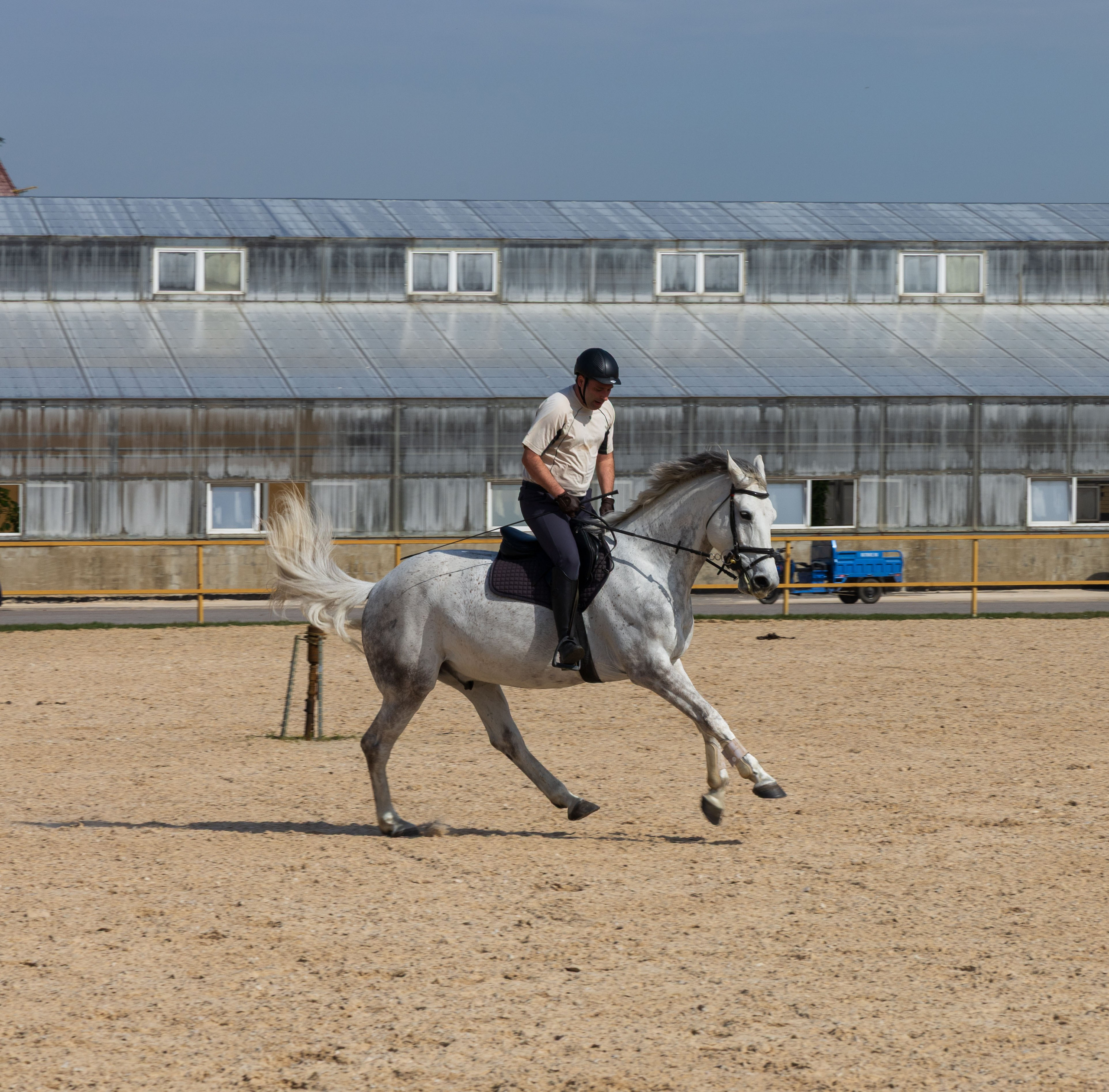 Репортаж.Конная тренировка. Портретный и семейный фотограф Санкт-Петербург