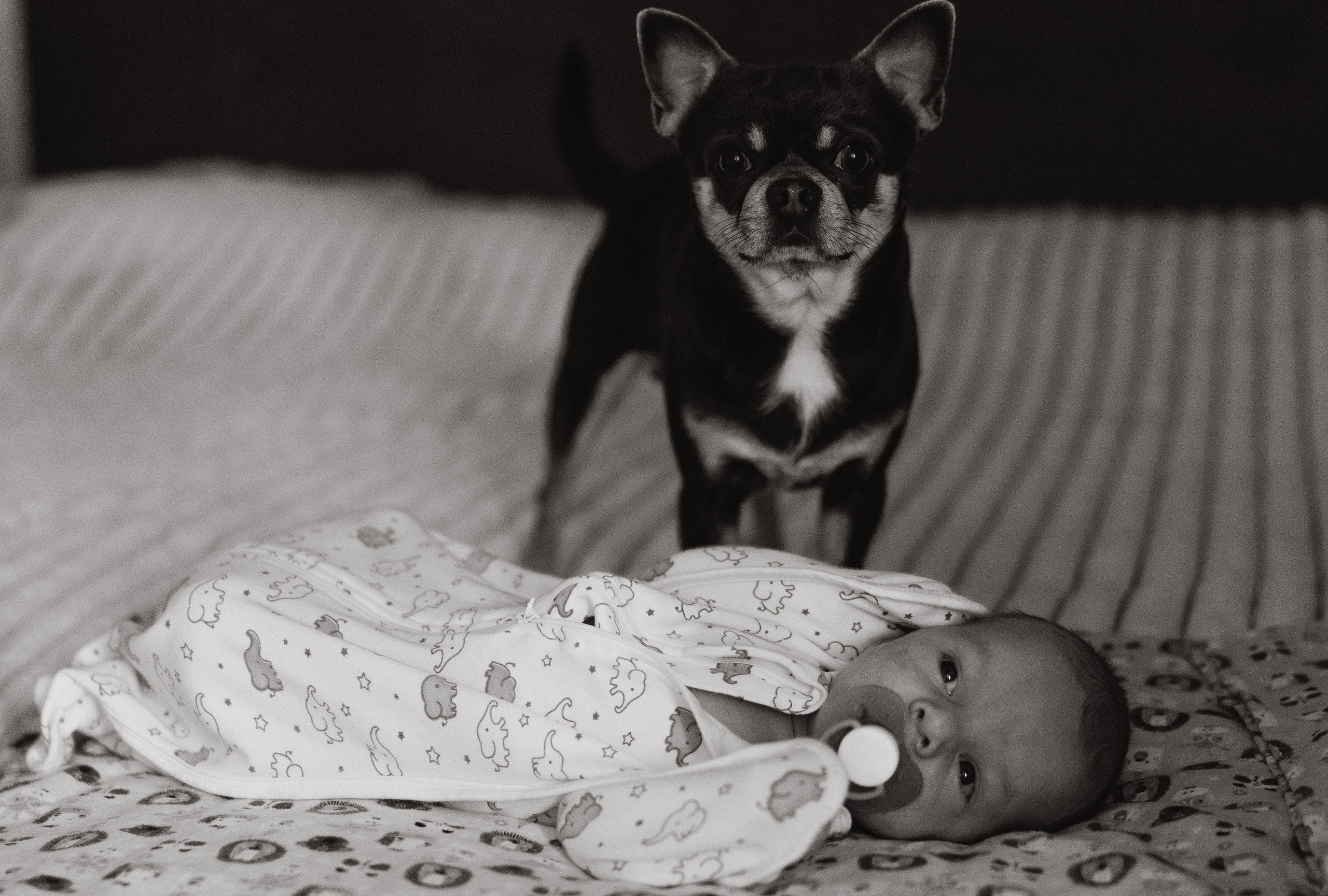 Марк в кругу семьи. Семейный, ньюборн фотограф, фотограф на роды в Москве, Виктория Тюльдюкова