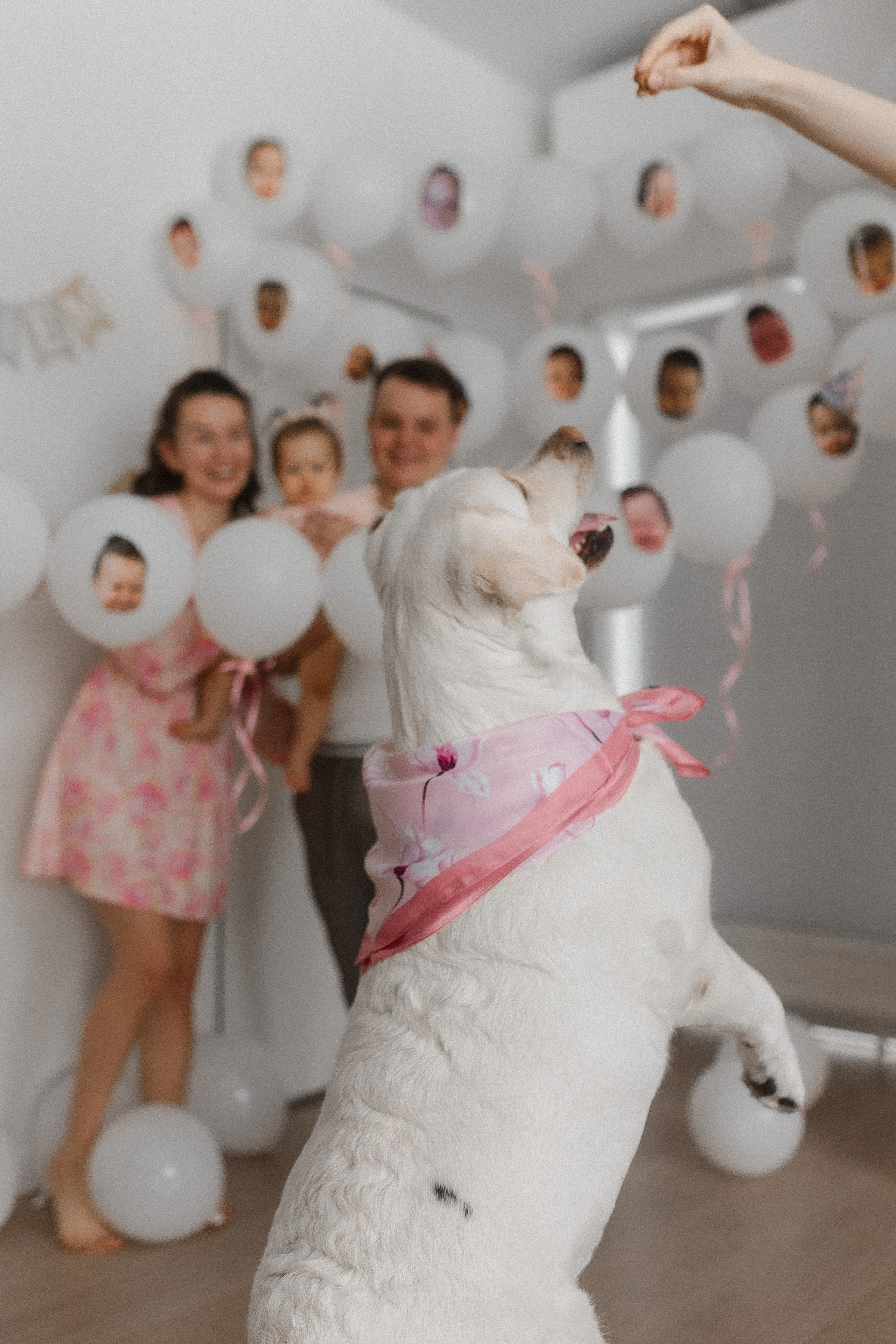 Миле 1 годик. Семейный фотограф в Нижнем Новгороде Доронина Юлия