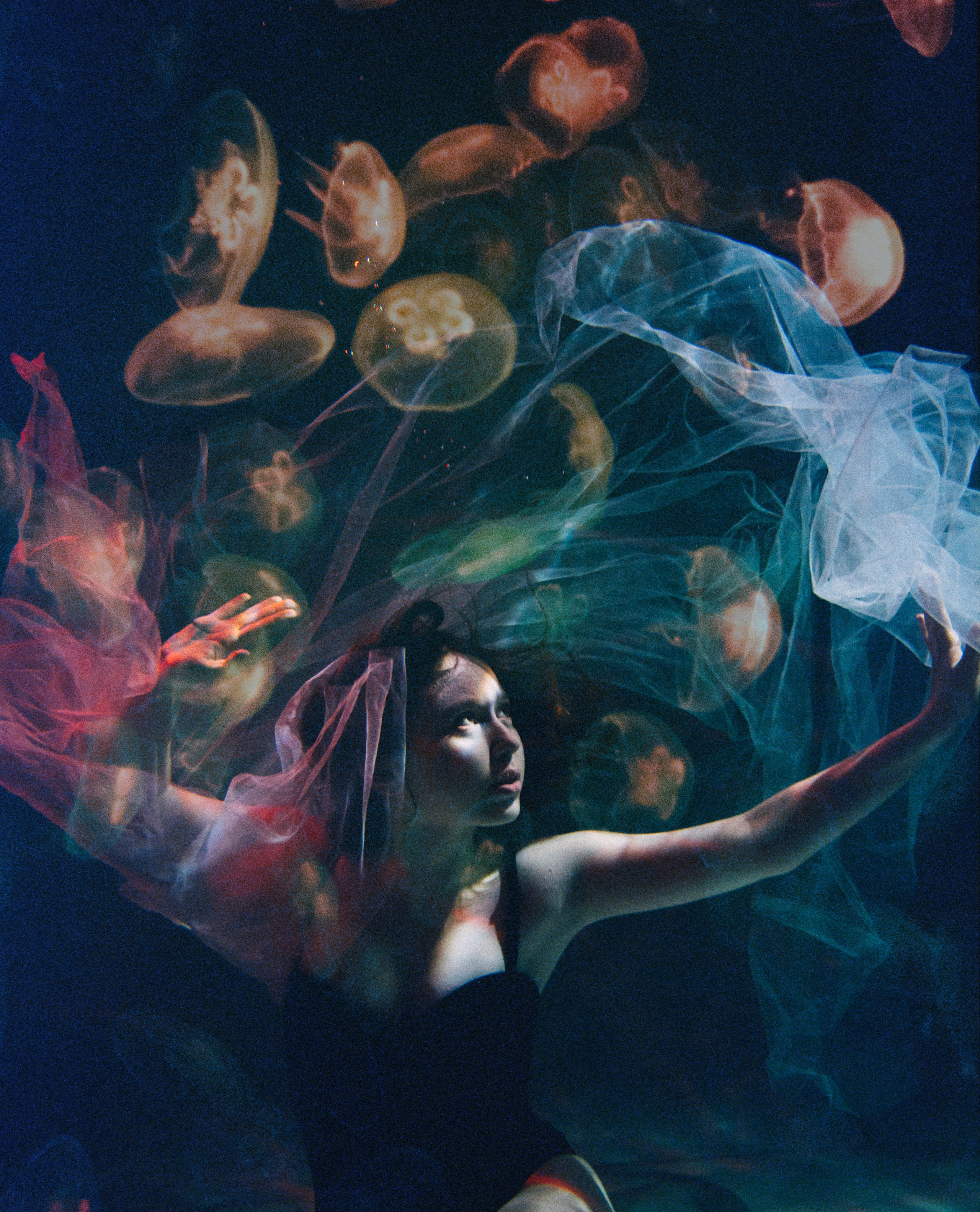 Студия. Morozography