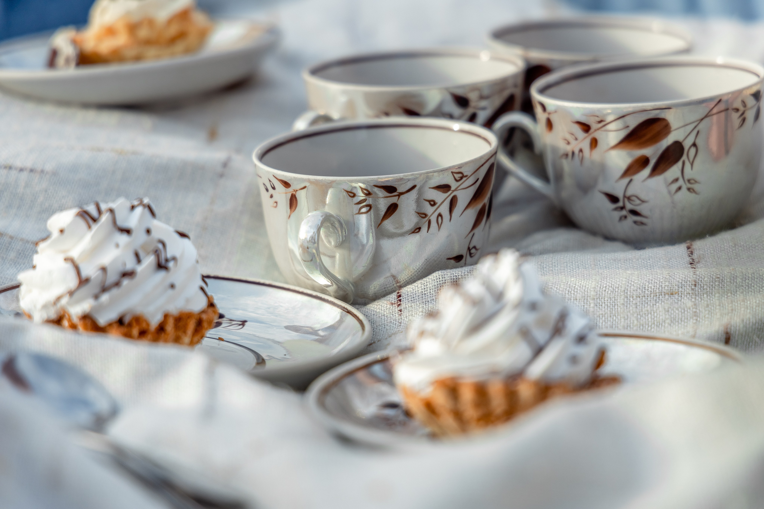 Природа. Фотограф Елена Медок Калининград