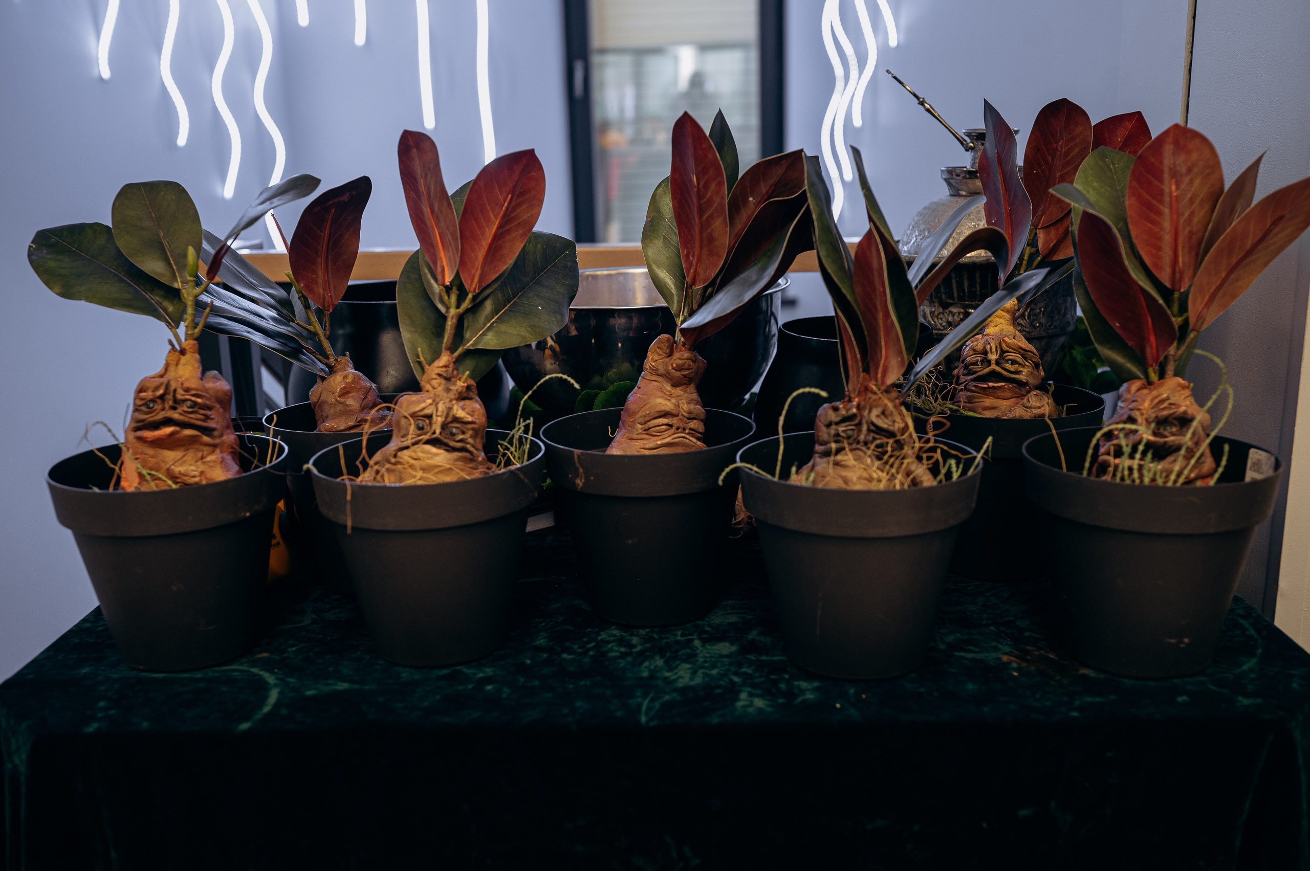 Выпускной в саду. Семейный фотограф Одинцово Москва Кулакова Екатерина