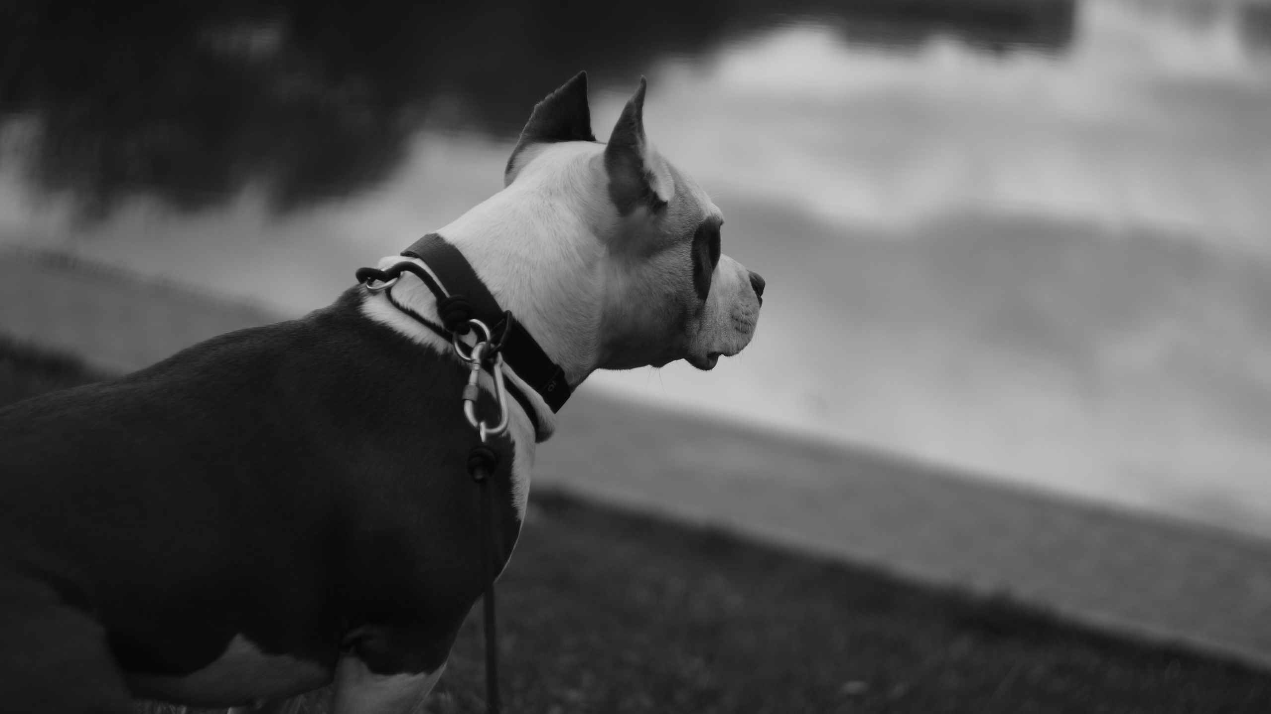 Луна. Профессиональный фотограф