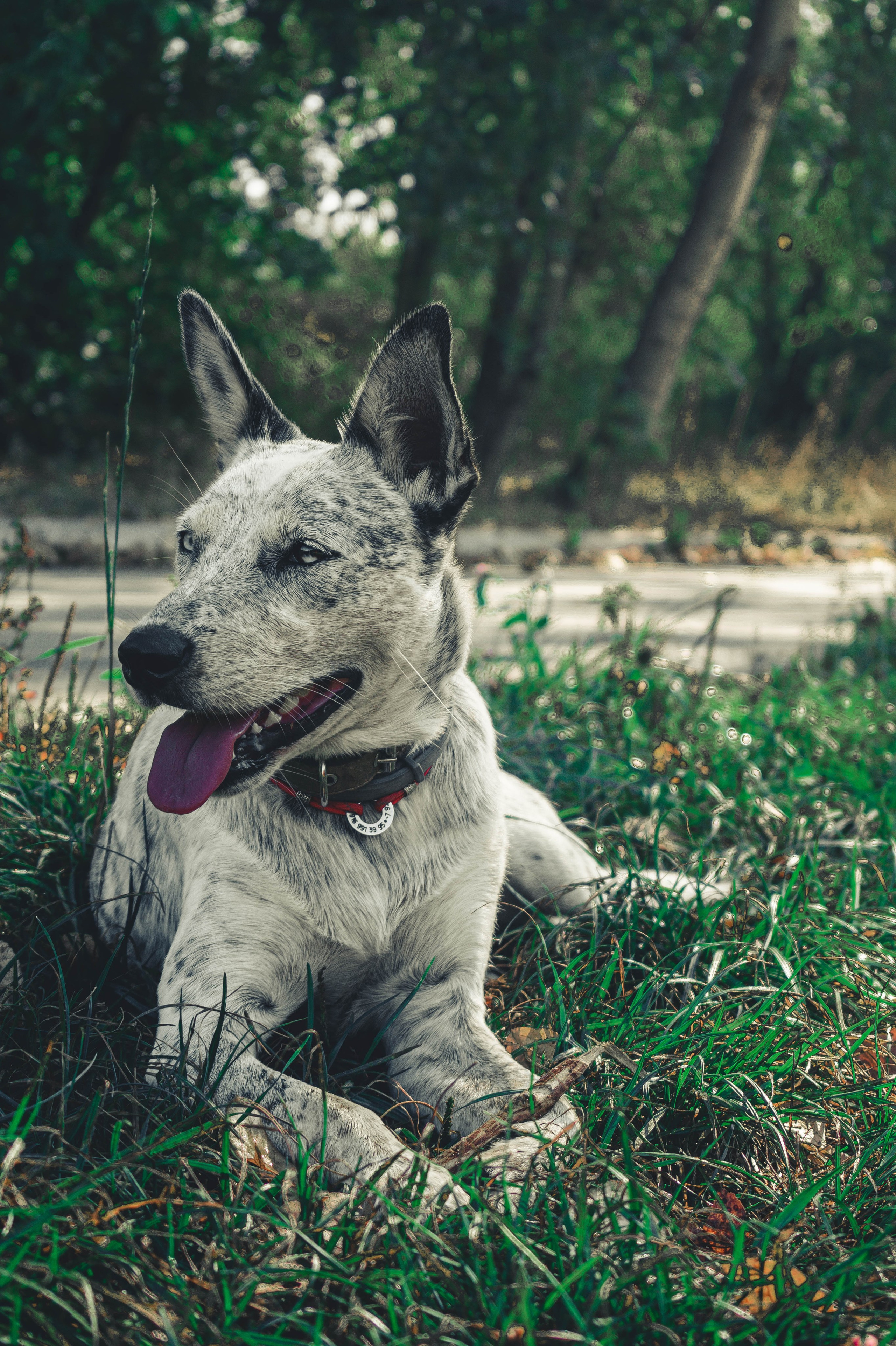 Цунами. Профессиональный фотограф