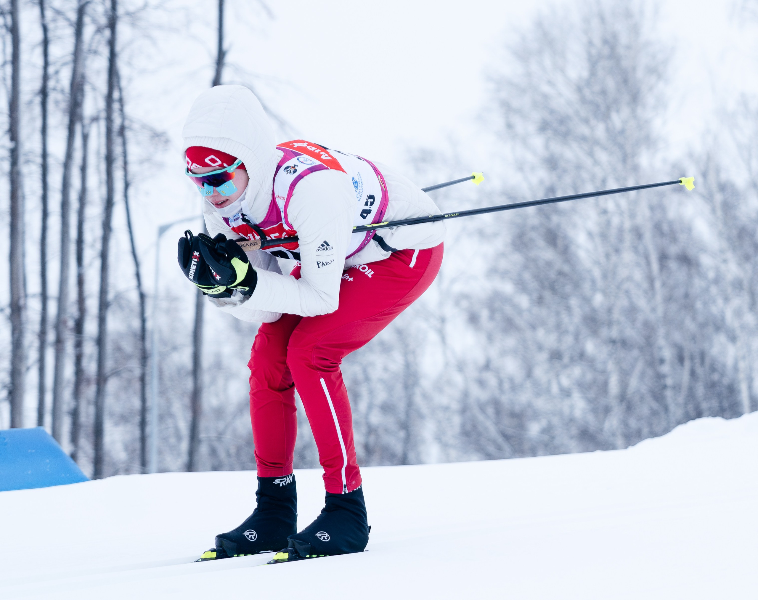 Лыжные гонки: Кубок России 2023/2024. Юрий Шмидт — Репортажный фотограф
