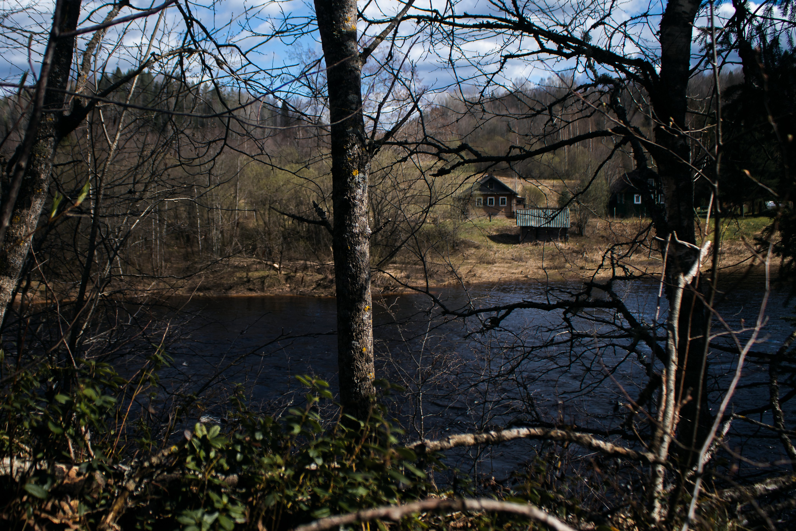 Вепсский ковчег. Полина Щапова БМК235 Медиаком — НИУ ВШЭ