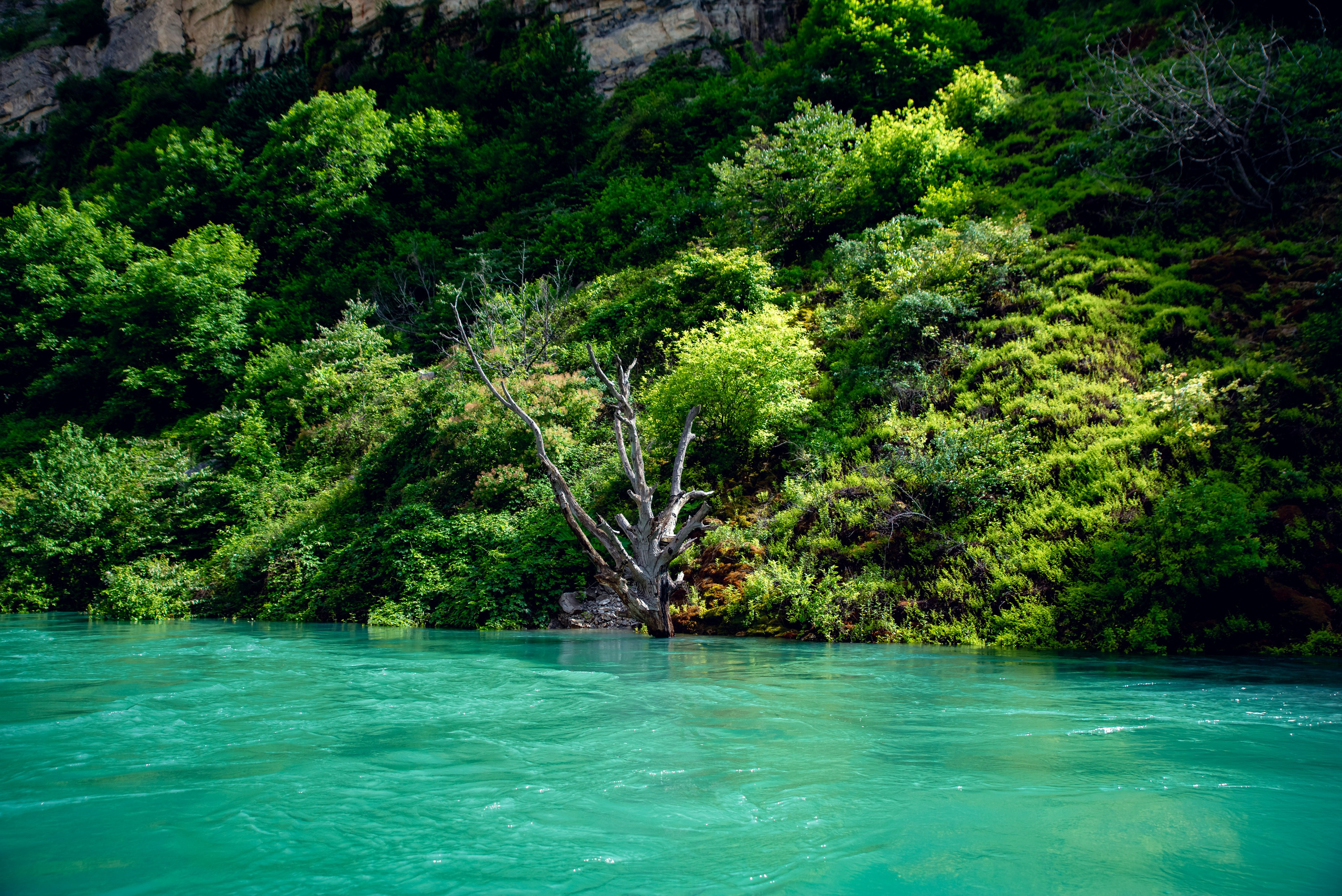 Дагестан. Фотограф Крещение Венчание Москва