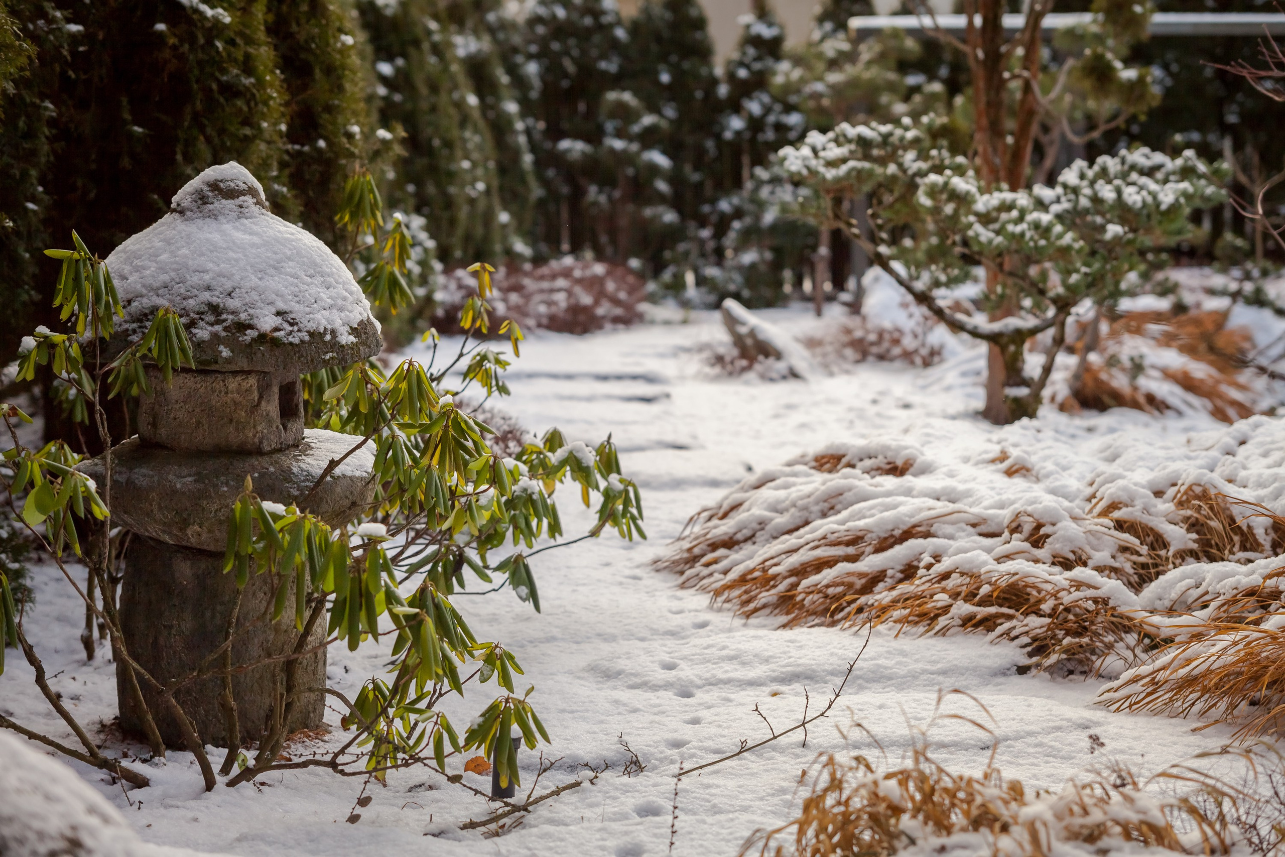 ОДНИМ СОЛНЕЧНЫМ ЗИМНИМ ДНЁМ!. Туманов Виталий — фотограф Москва