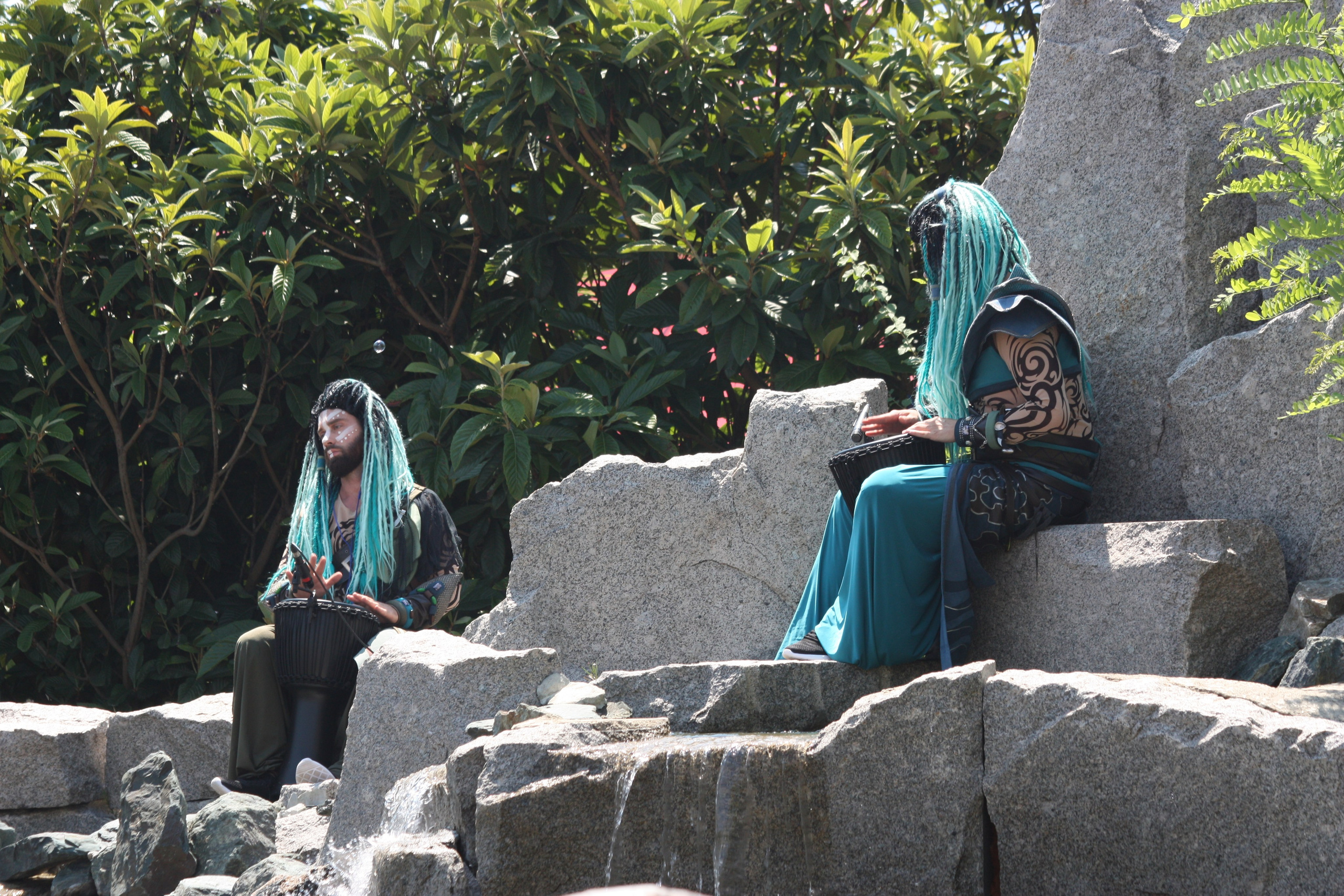 Первые кадры. Сочи — парк. Фотограф Роман Адлер